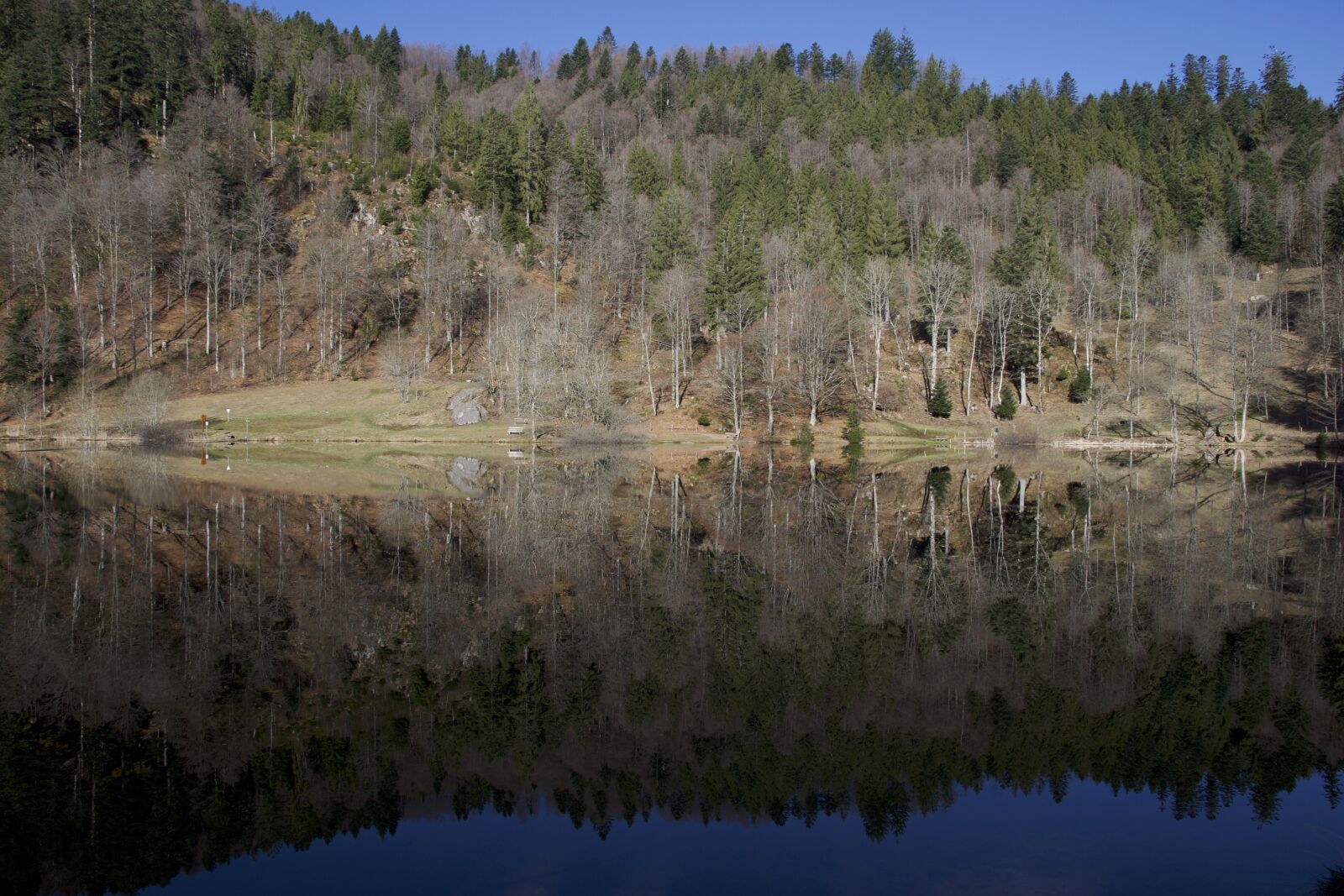 Nikon D5300 sample photo. Mirroring, nature, wood photography