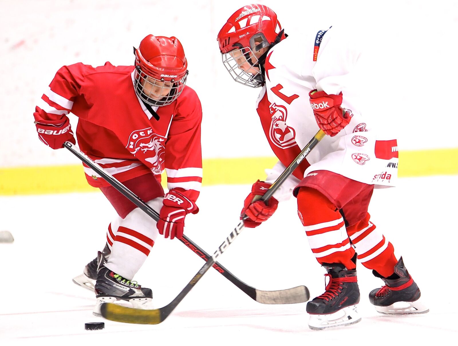 Canon EOS 5D Mark II sample photo. Hockey, captain, puck photography