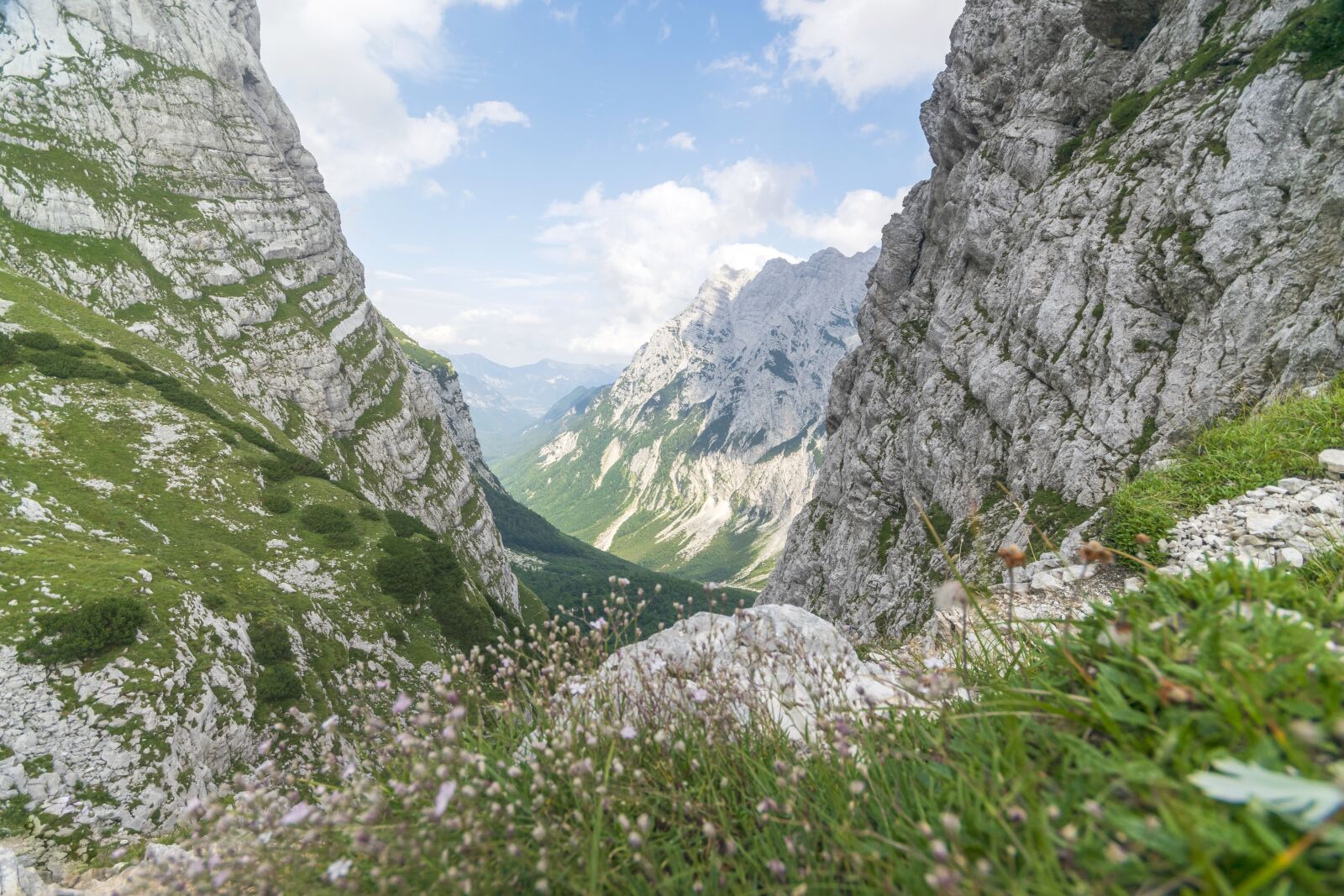 Nikon D3300 sample photo. Alps, mountains, panorama photography