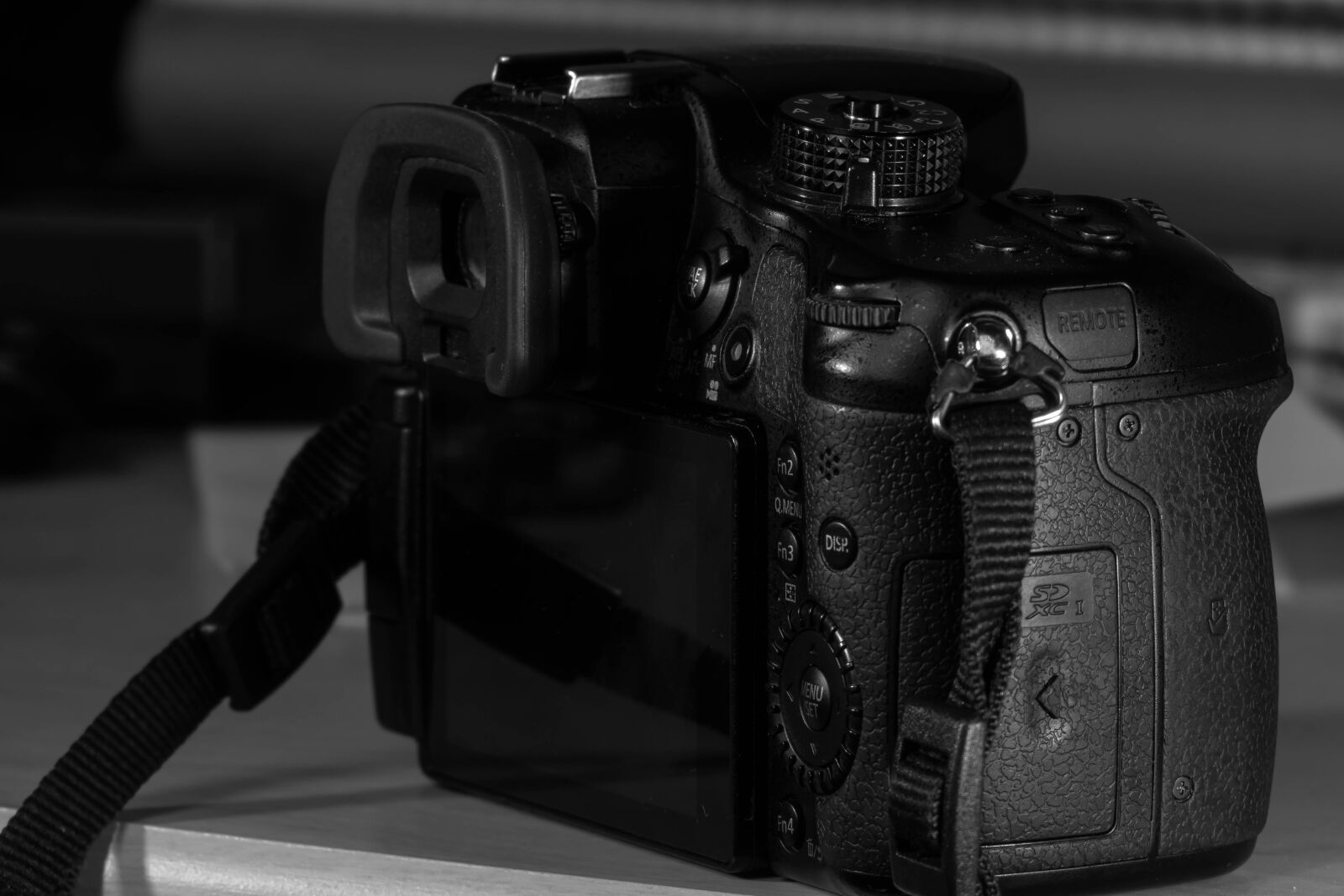 Sony Cyber-shot DSC-RX10 III sample photo. Lumixgh4, dsl camera, dital photography