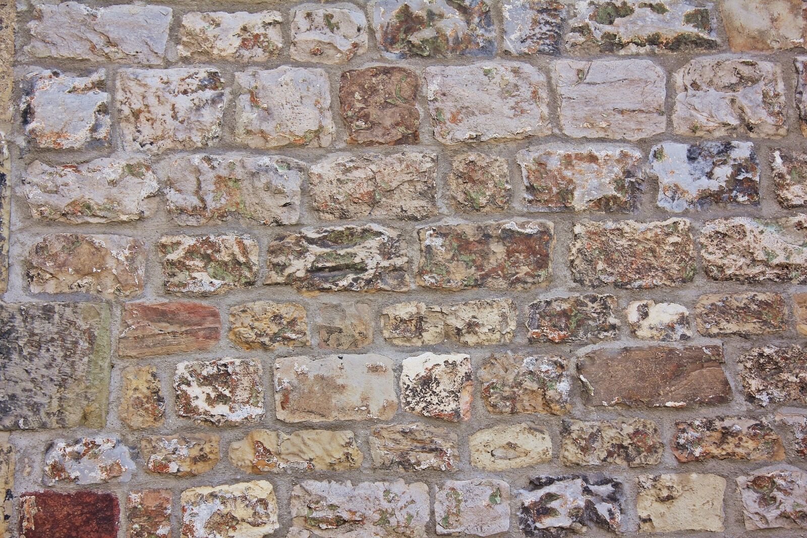 Canon EOS 550D (EOS Rebel T2i / EOS Kiss X4) sample photo. Wall, masonry, natural stone photography