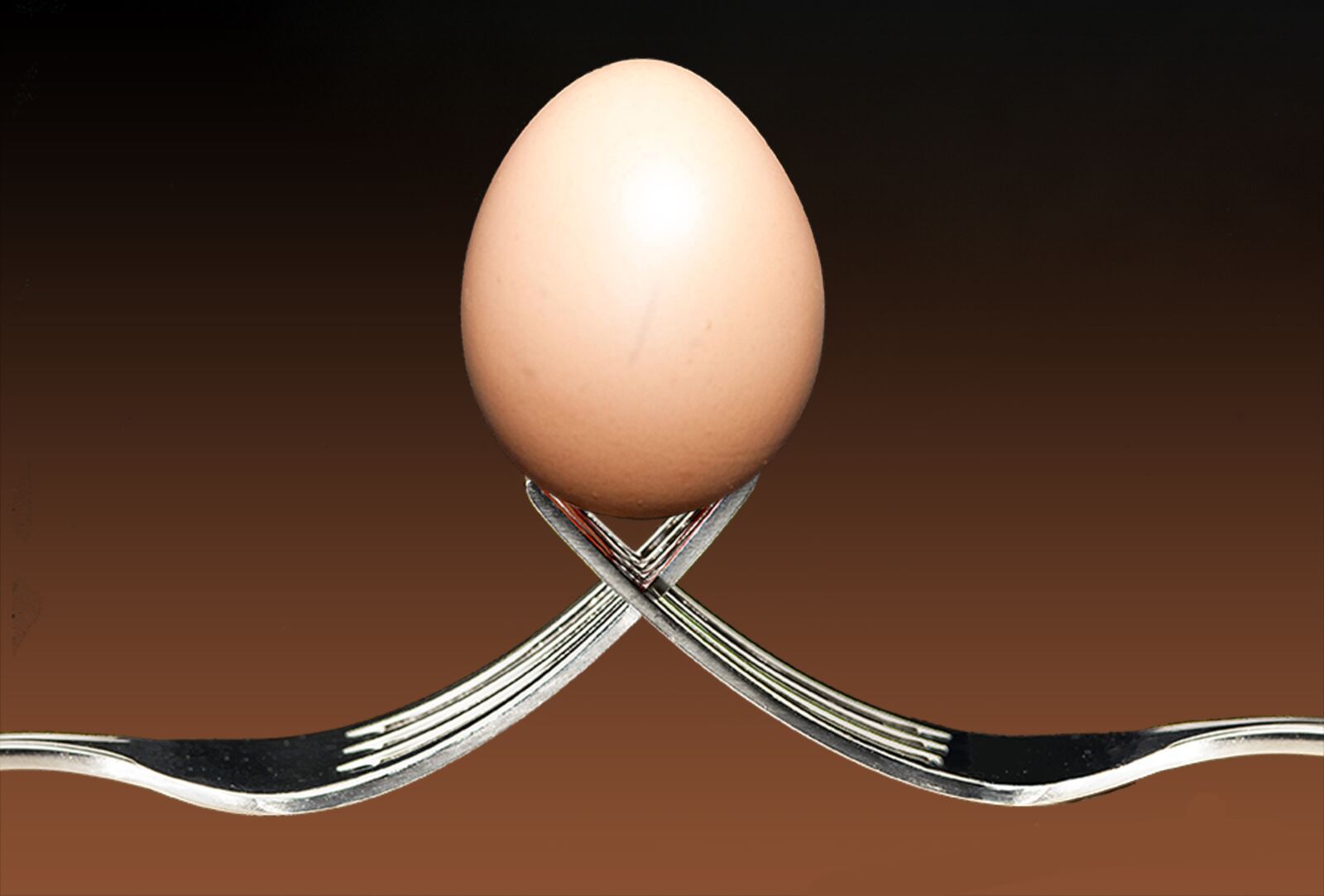 Nikon D7100 sample photo. Forks, egg, food photography