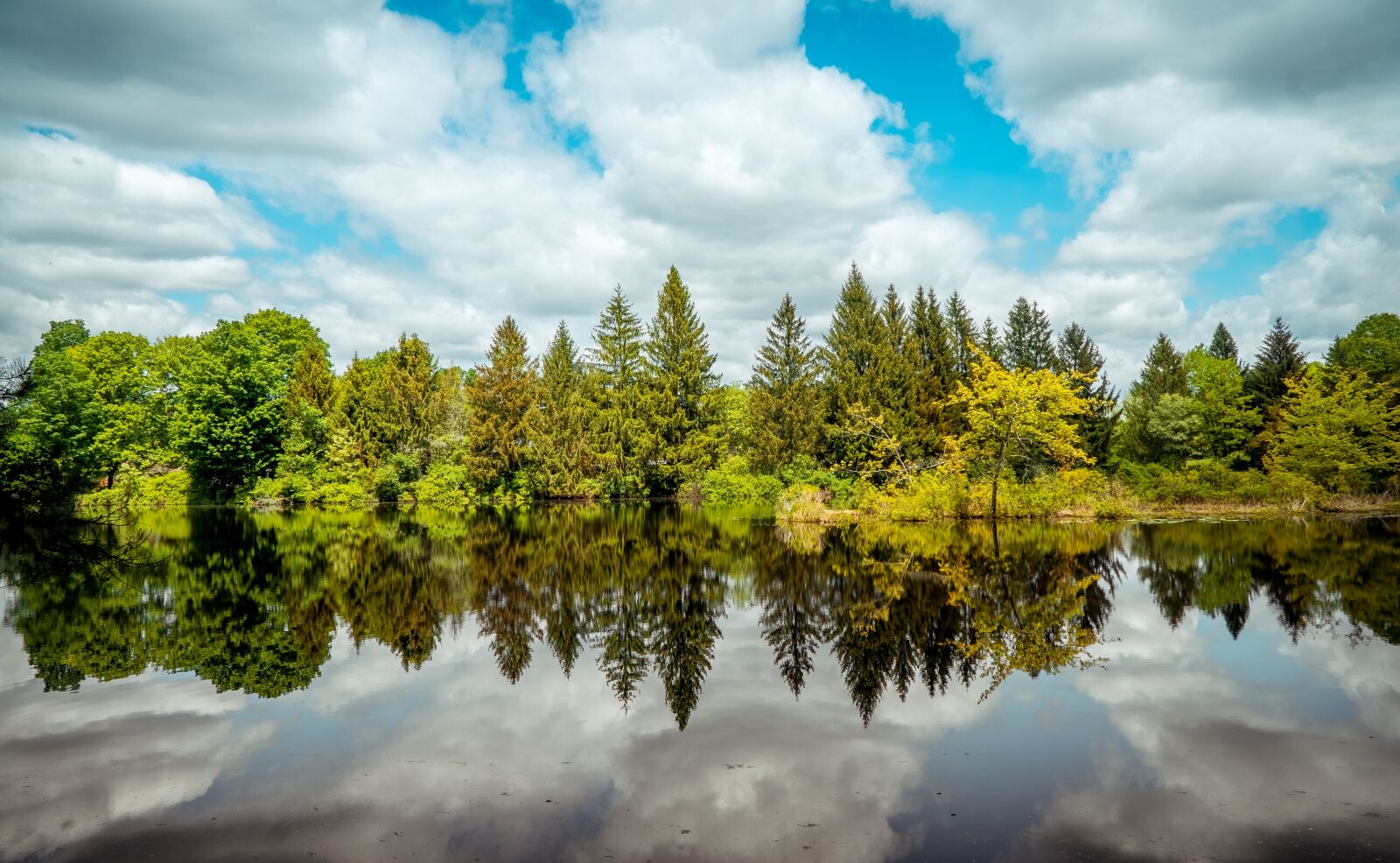 Sony E PZ 18-105mm F4 G OSS sample photo. Trees, woods, reflections photography