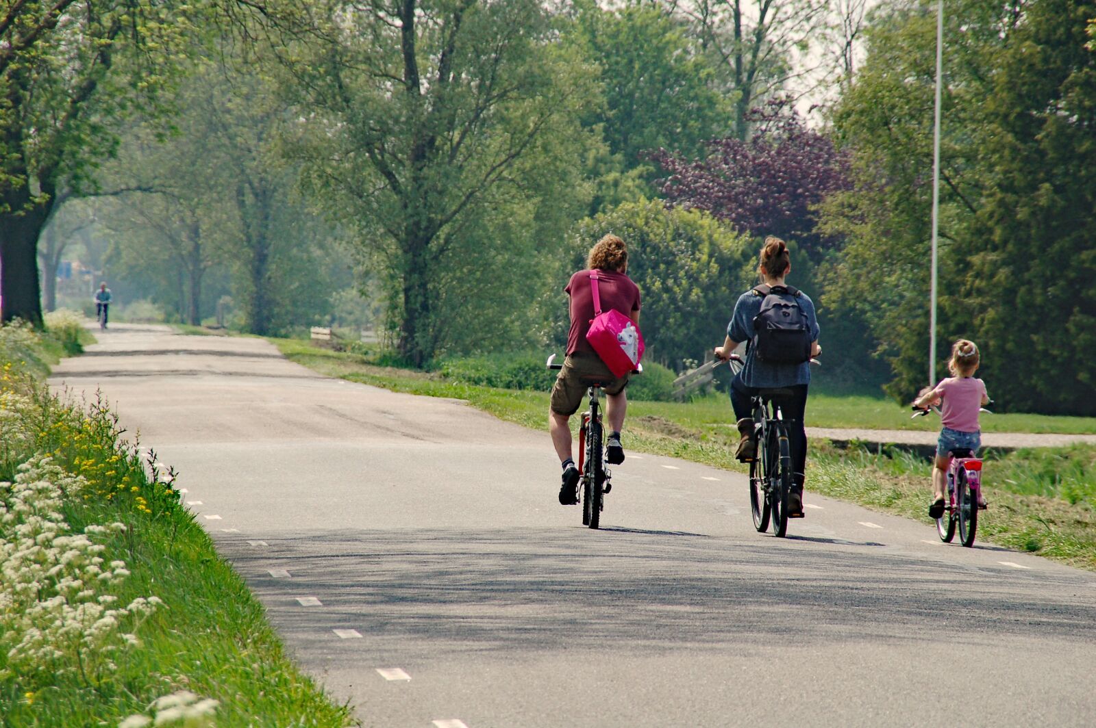 Nikon D50 sample photo. Cycling, road, berm photography