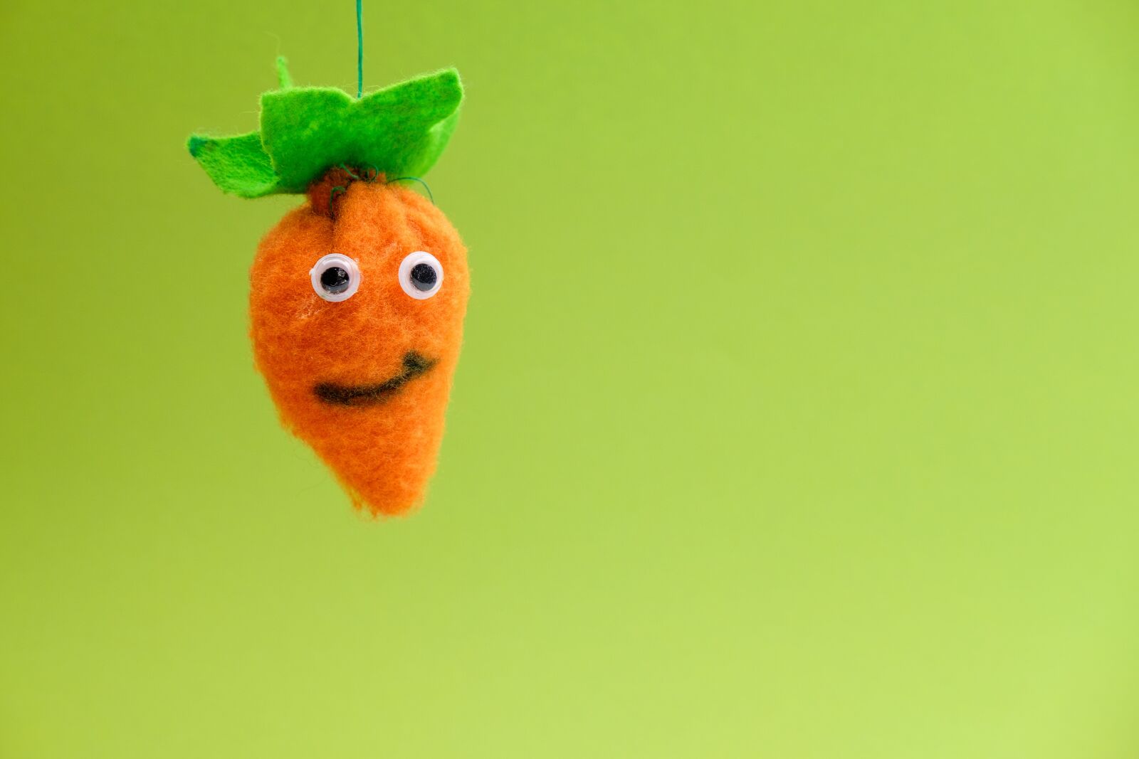 Fujifilm X-T2 + Fujifilm XF 35mm F2 R WR sample photo. Carrot, vegetables, felt photography