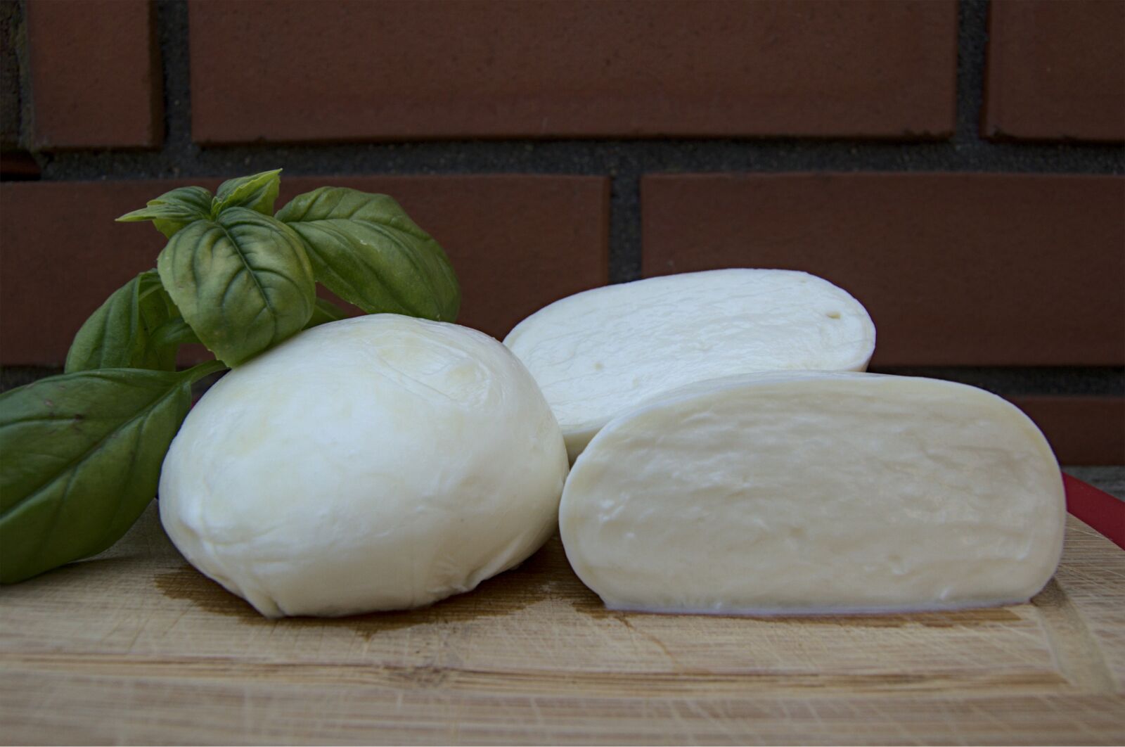 Nikon D40 sample photo. Cheese, italian, fresh photography