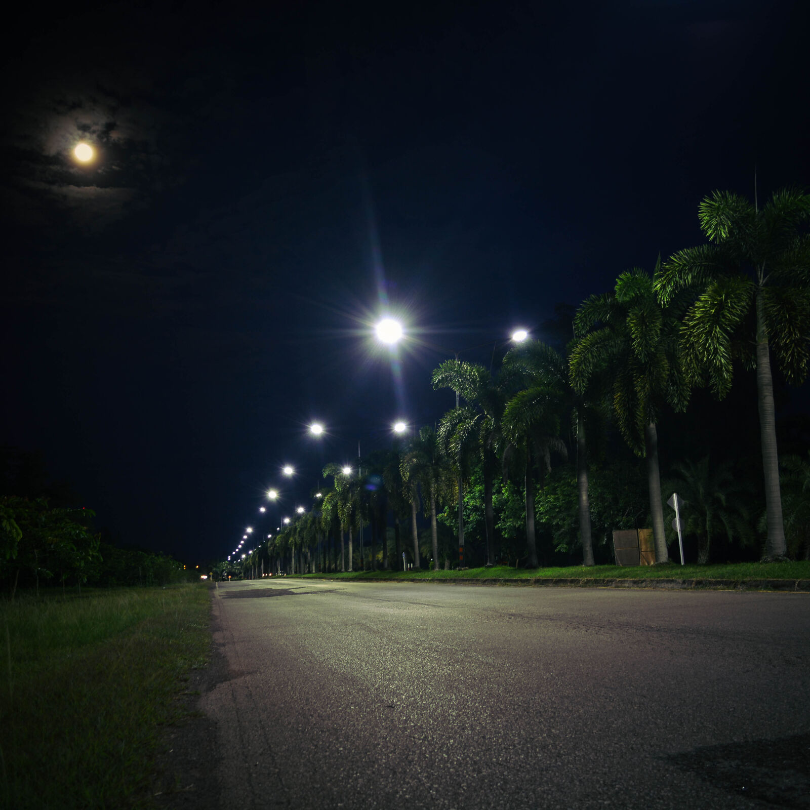 Nikon D5200 sample photo