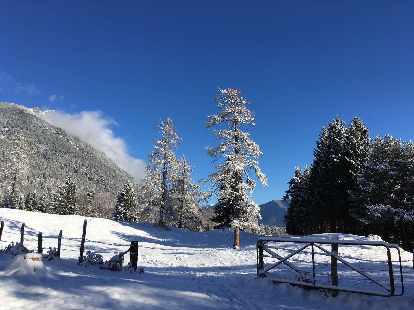 Apple iPhone SE sample photo. Snow, landscape, winter photography