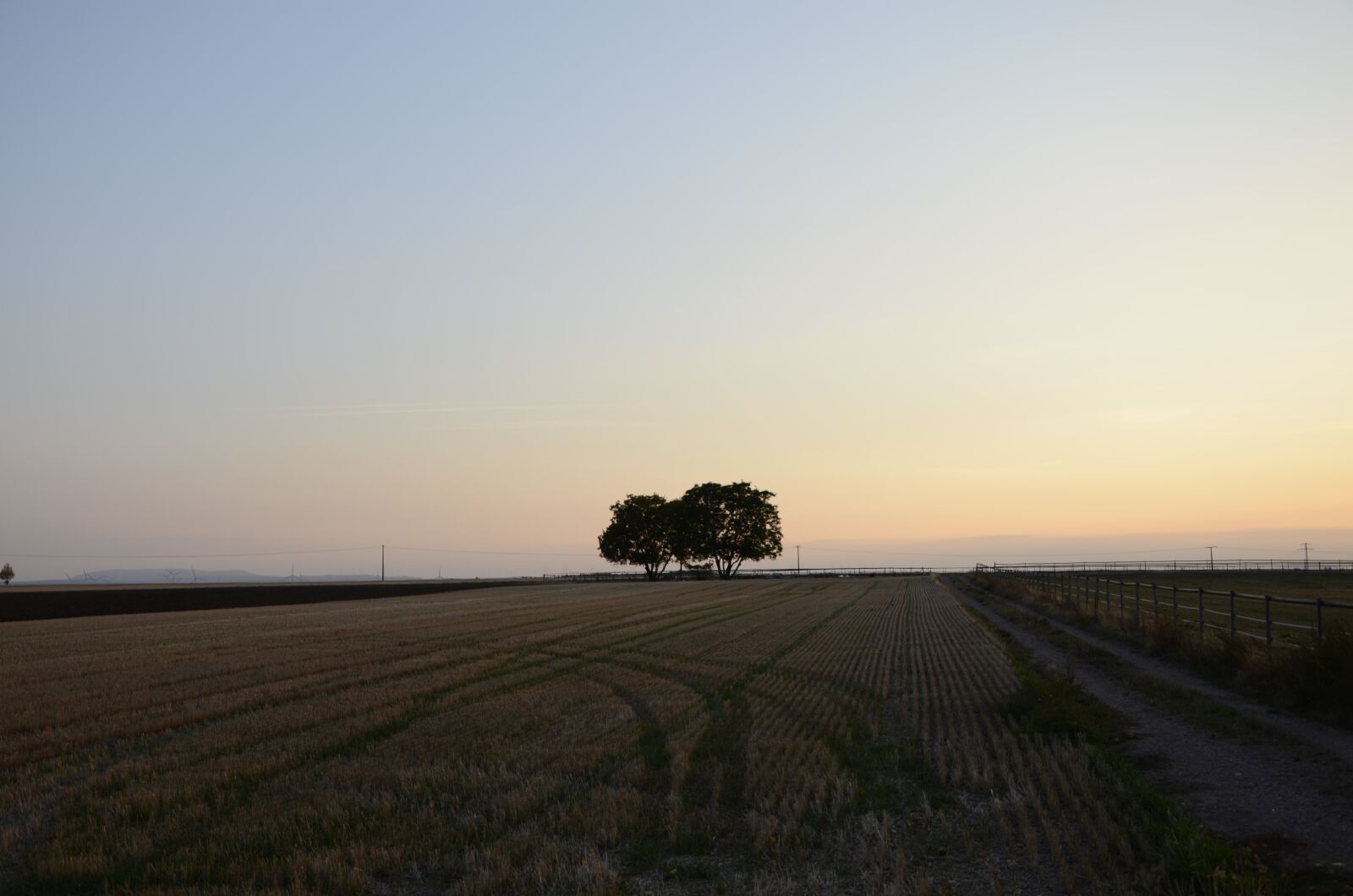 Nikon D7000 sample photo. Evening sky, tree, nature photography
