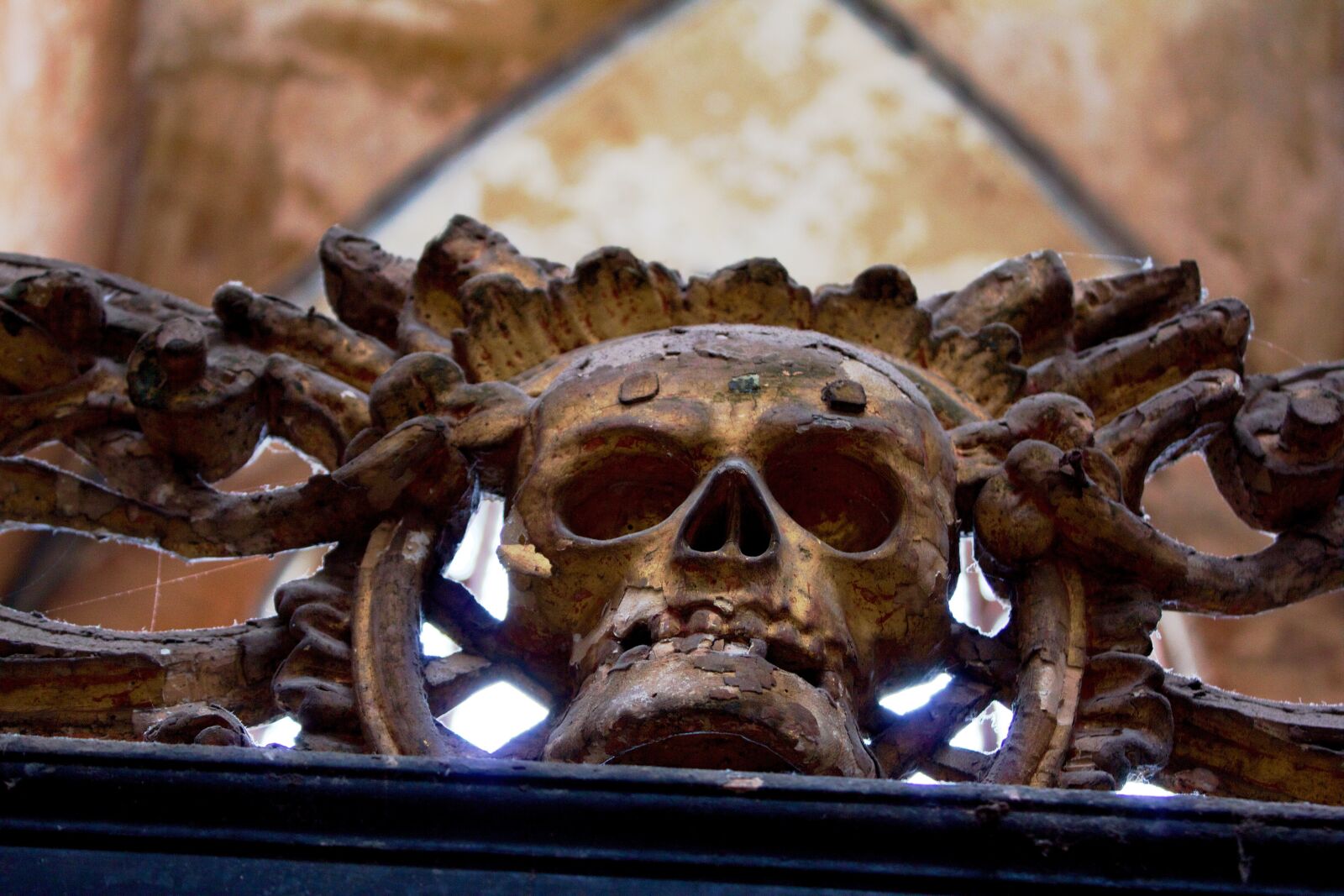Canon EOS 550D (EOS Rebel T2i / EOS Kiss X4) sample photo. Skull, church, crypt photography