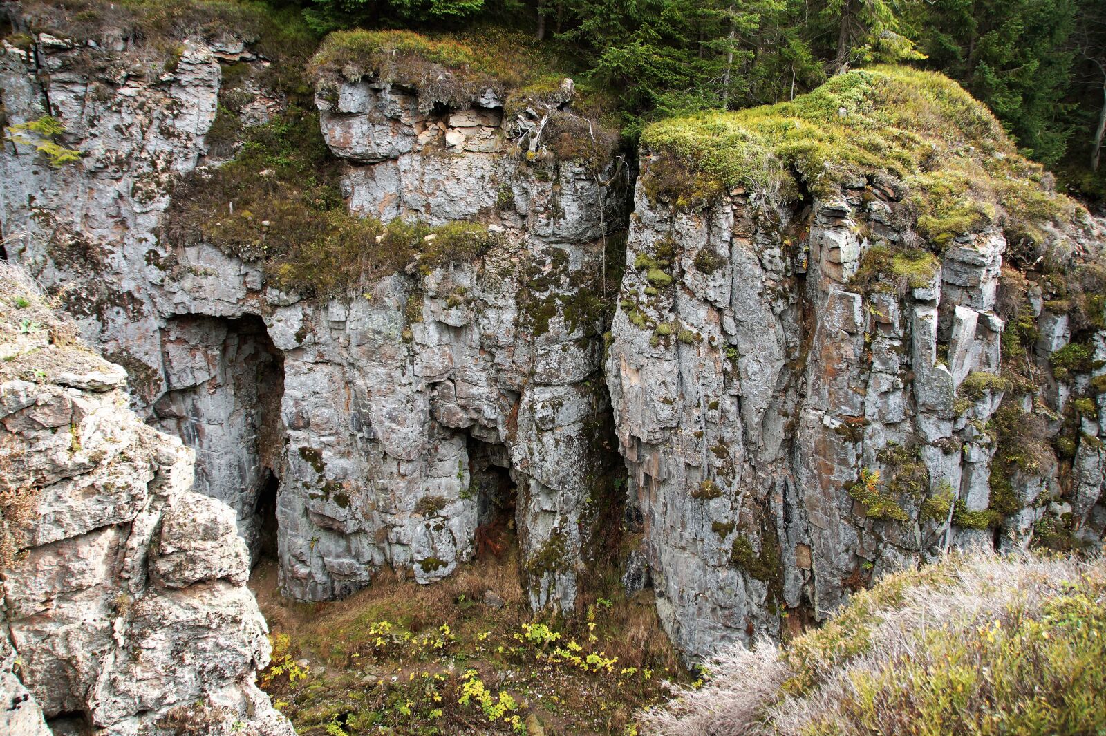 Sony SLT-A58 sample photo. The wolf pit, the photography