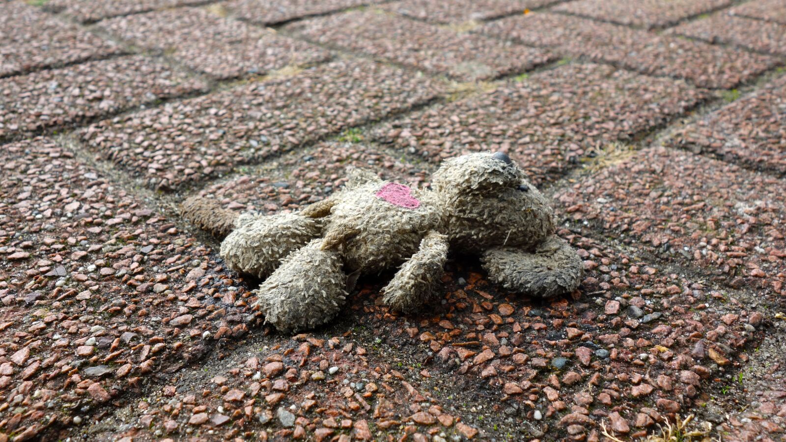 Sony Cyber-shot DSC-RX100 sample photo. Mouse, lost, victim of photography