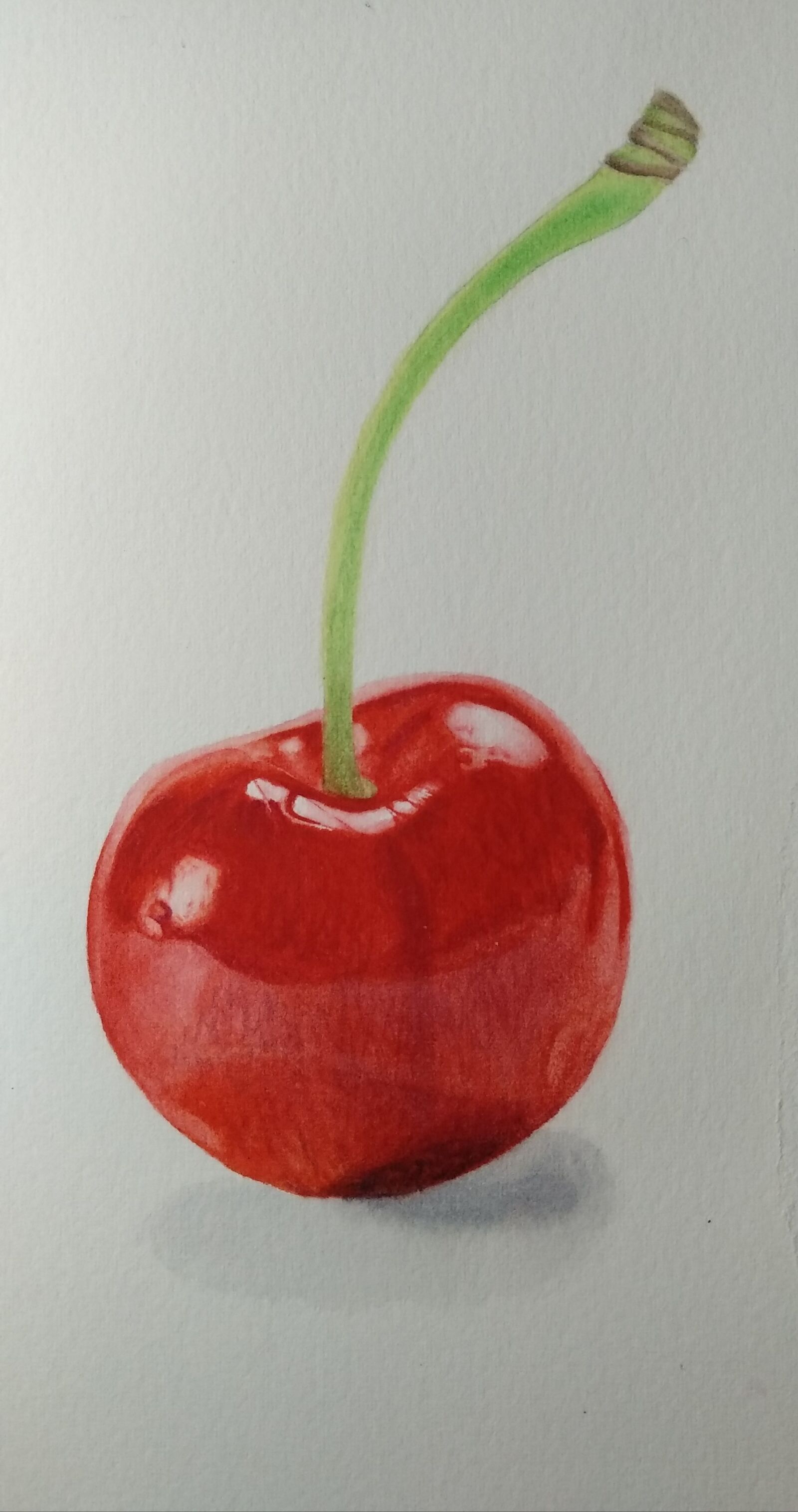 Xiaomi MI MAX 2 sample photo. Watercolor, cherry, realism photography