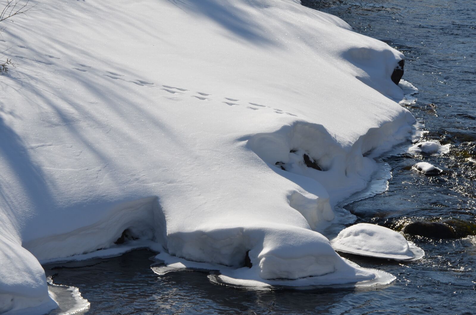 Nikon D7000 sample photo. Tracks, snow, winter photography