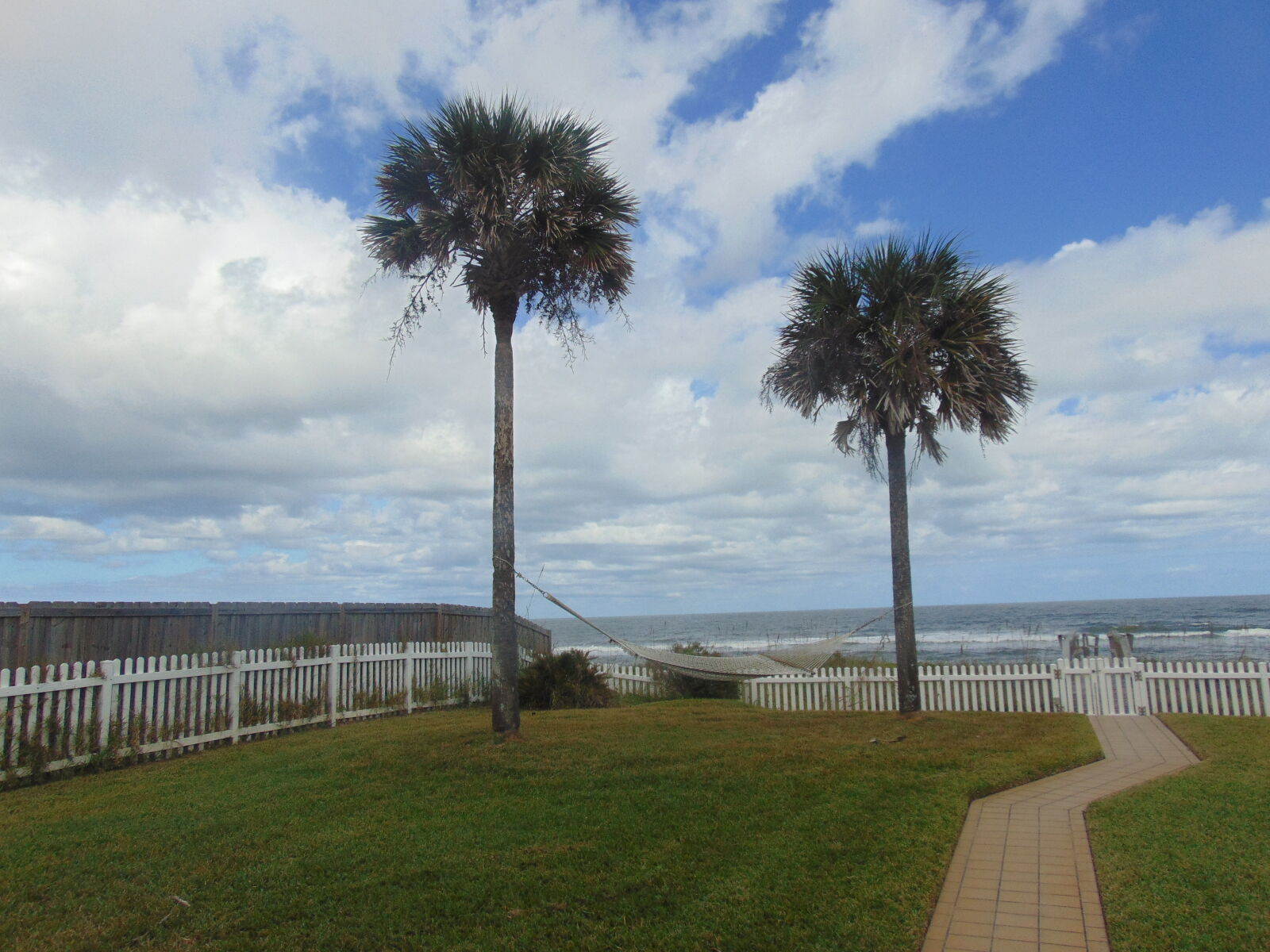 Sony Cyber-shot DSC-H300 sample photo. Oceanshores, palm, trees photography