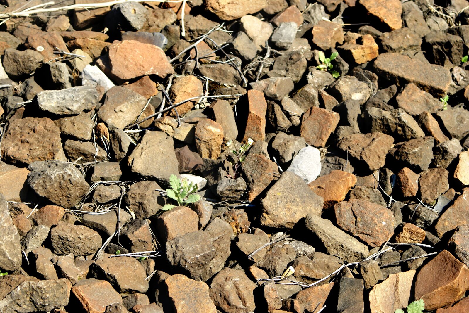 Sony Alpha DSLR-A200 sample photo. The stones, stone, building photography