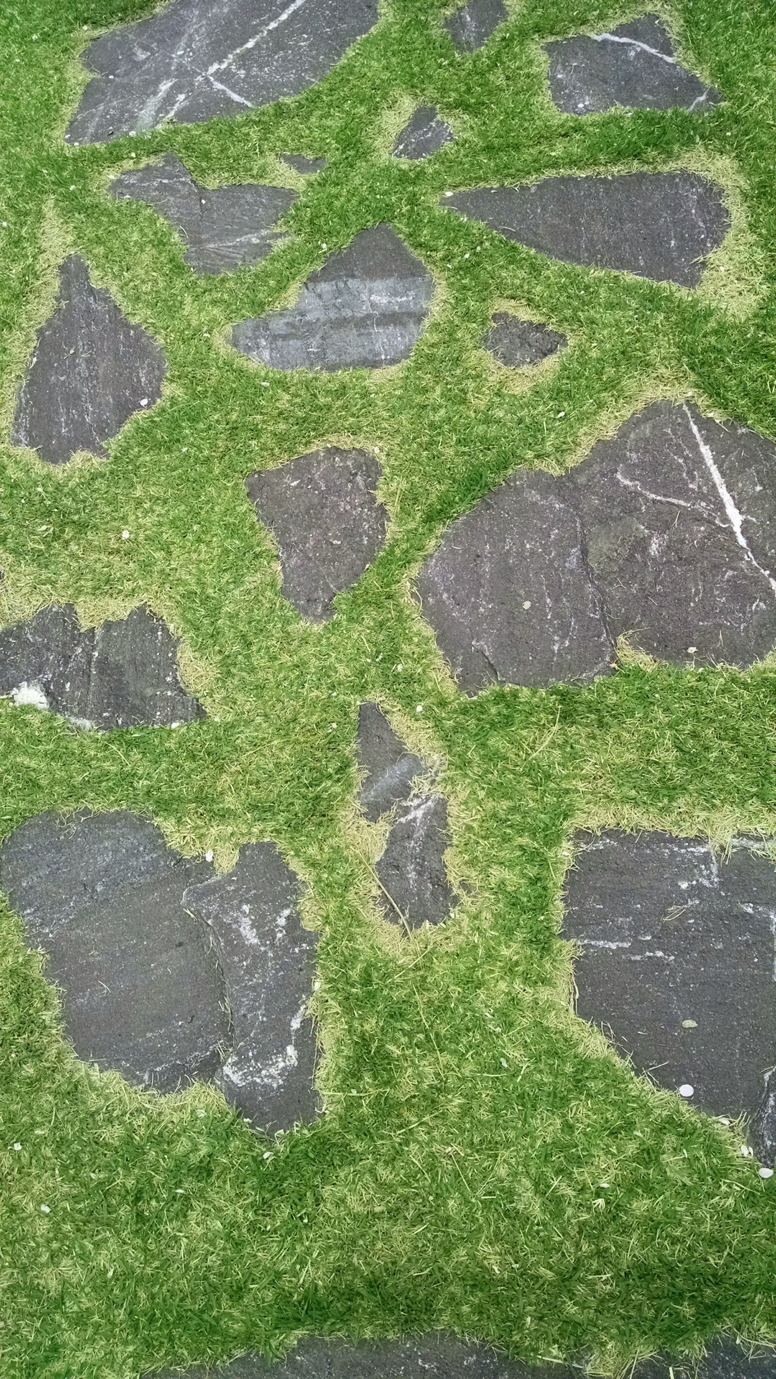 Motorola Moto X (1st Gen) sample photo. Abstract, grass, nature, pathway photography