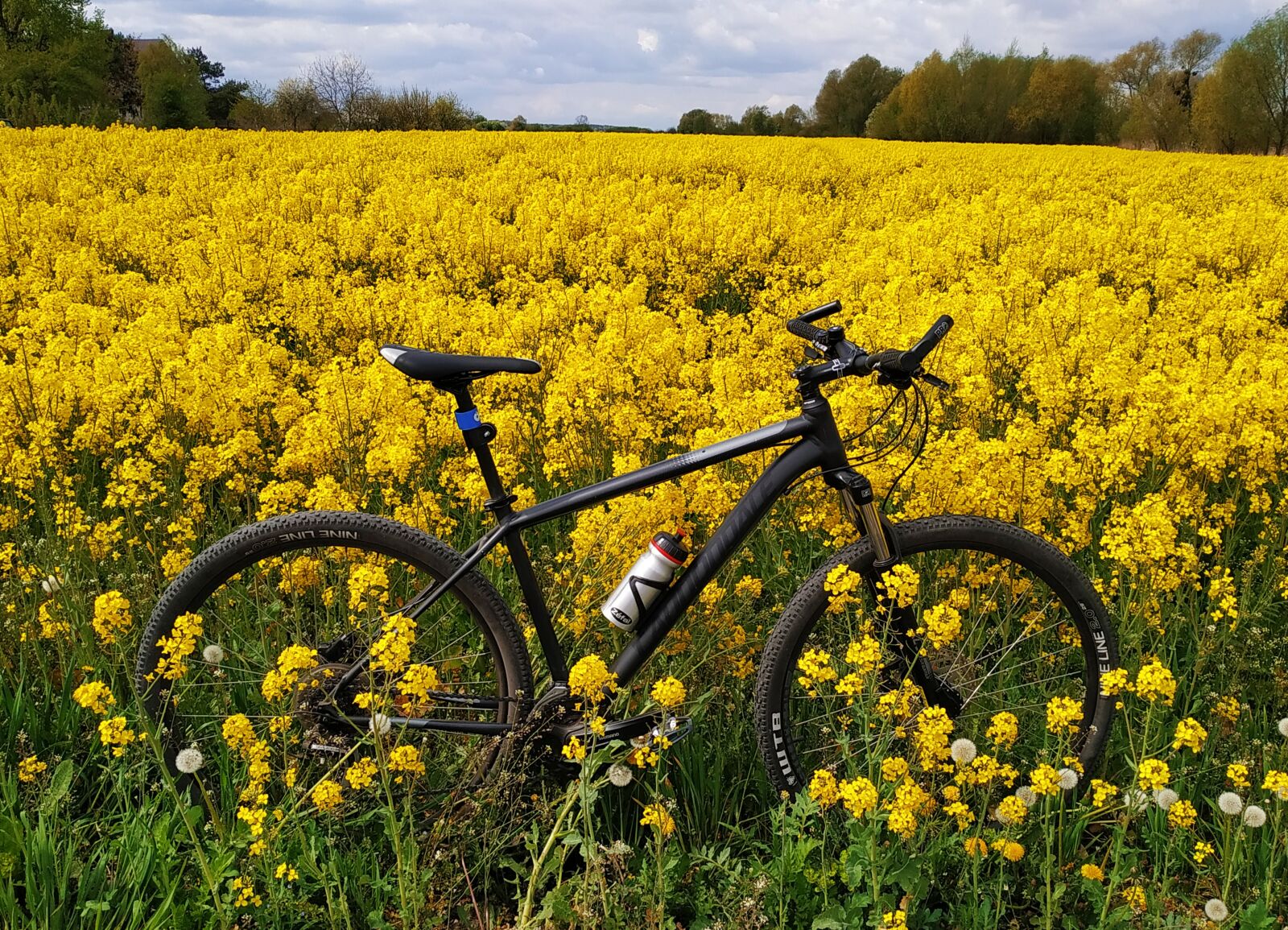 Xiaomi Redmi Note 6 Pro sample photo. Cannondale, bike, sport photography