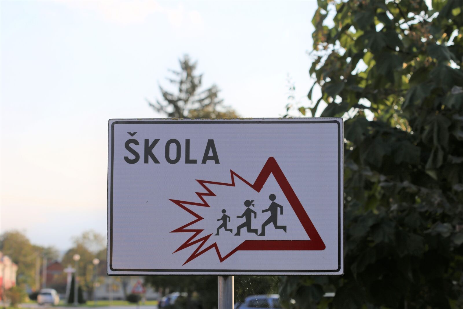 Canon EOS 6D + Canon EF 100mm F2.8 Macro USM sample photo. School sign, danger, safety photography