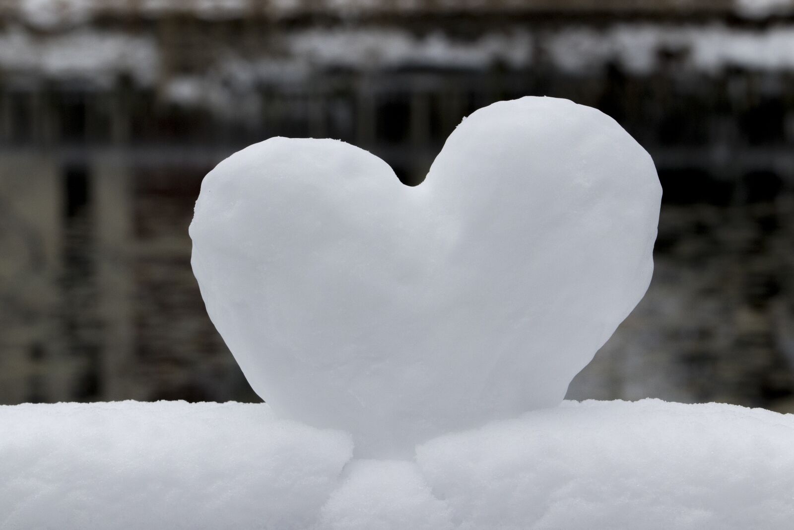 Canon EF 70-200mm F2.8L USM sample photo. Snow, hart, love photography