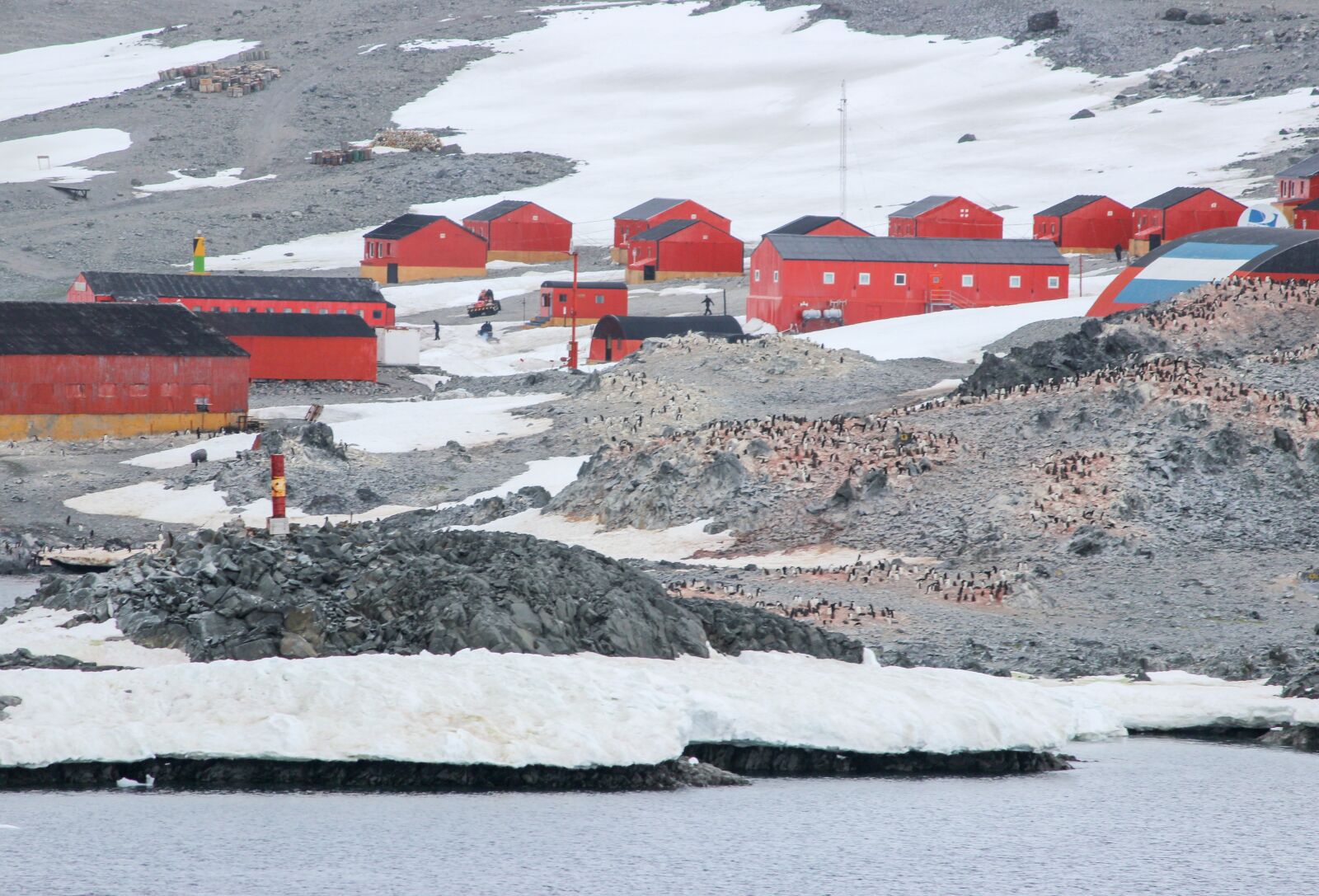 Canon EOS 600D (Rebel EOS T3i / EOS Kiss X5) sample photo. Antarctica, research station, penguins photography