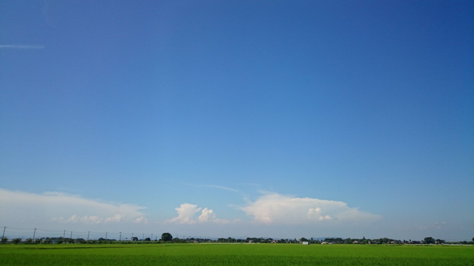 Sony Xperia Z2 sample photo. Horizon, natural, paddy field photography