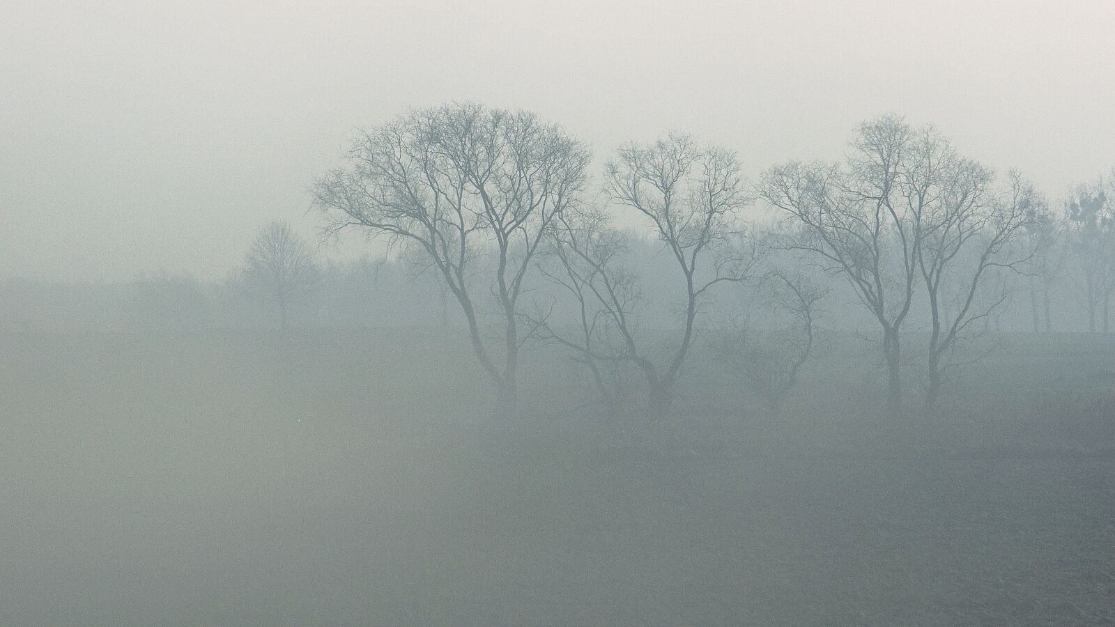 Sony SLT-A68 sample photo. The fog, haze, landscape photography
