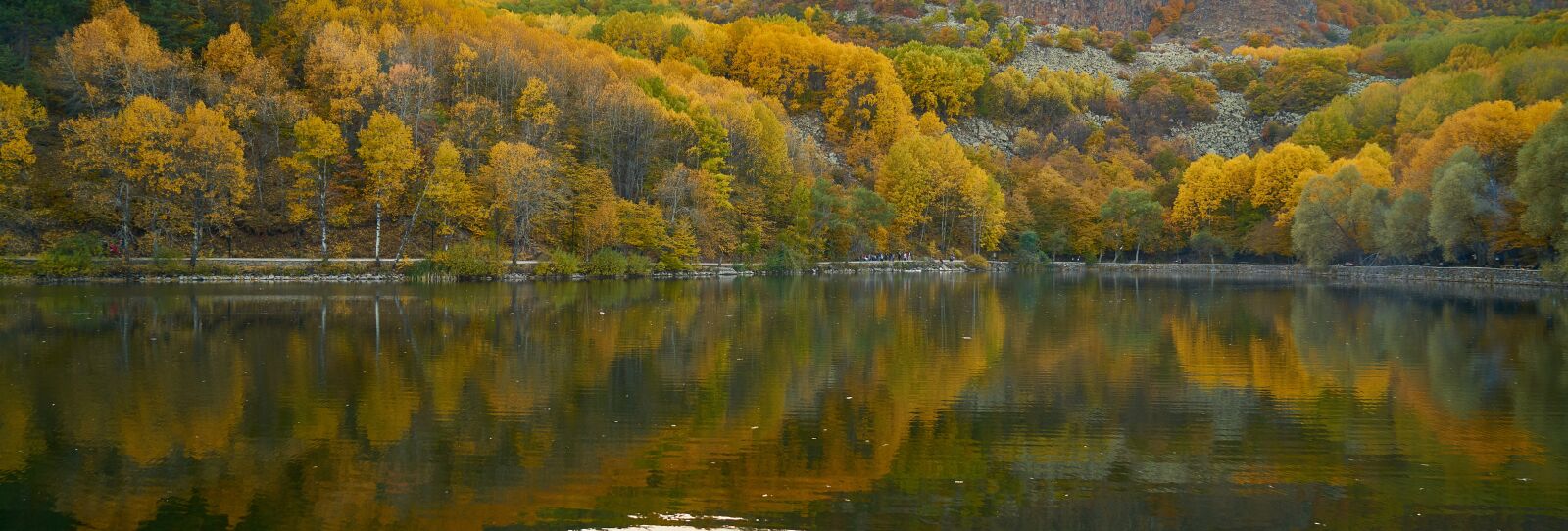 Sony a7R II sample photo. Autumn, season, landscape photography