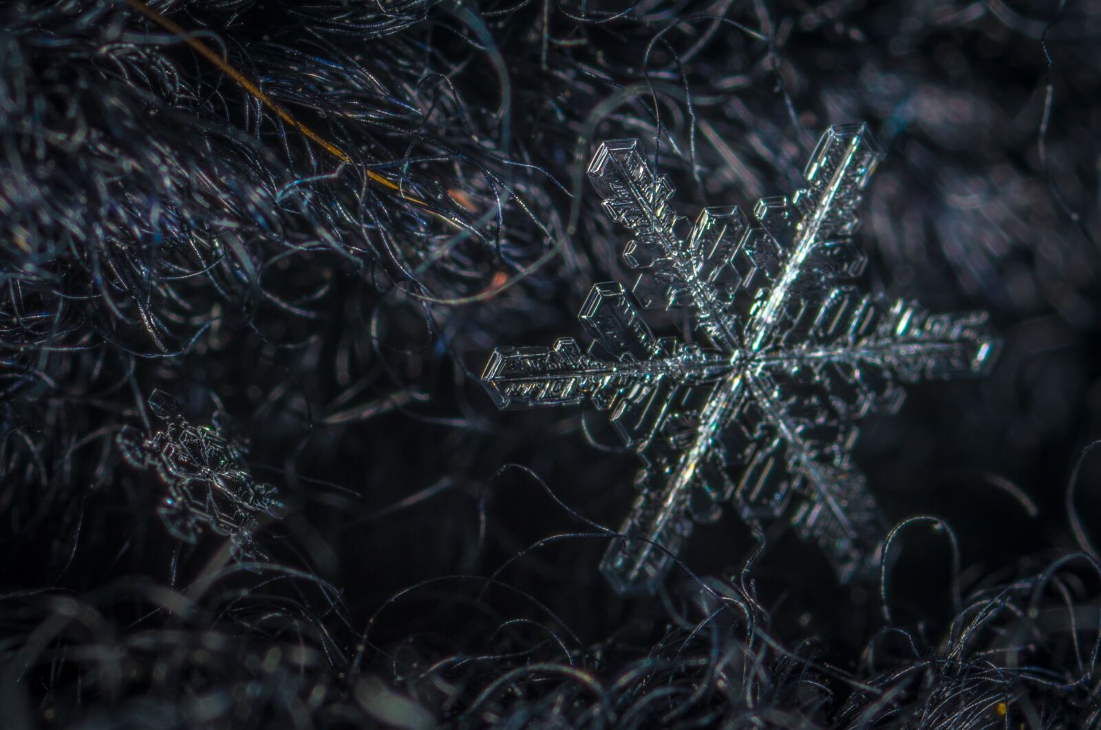 #124 65/2.8 sample photo. Snowflake, macro, snow photography