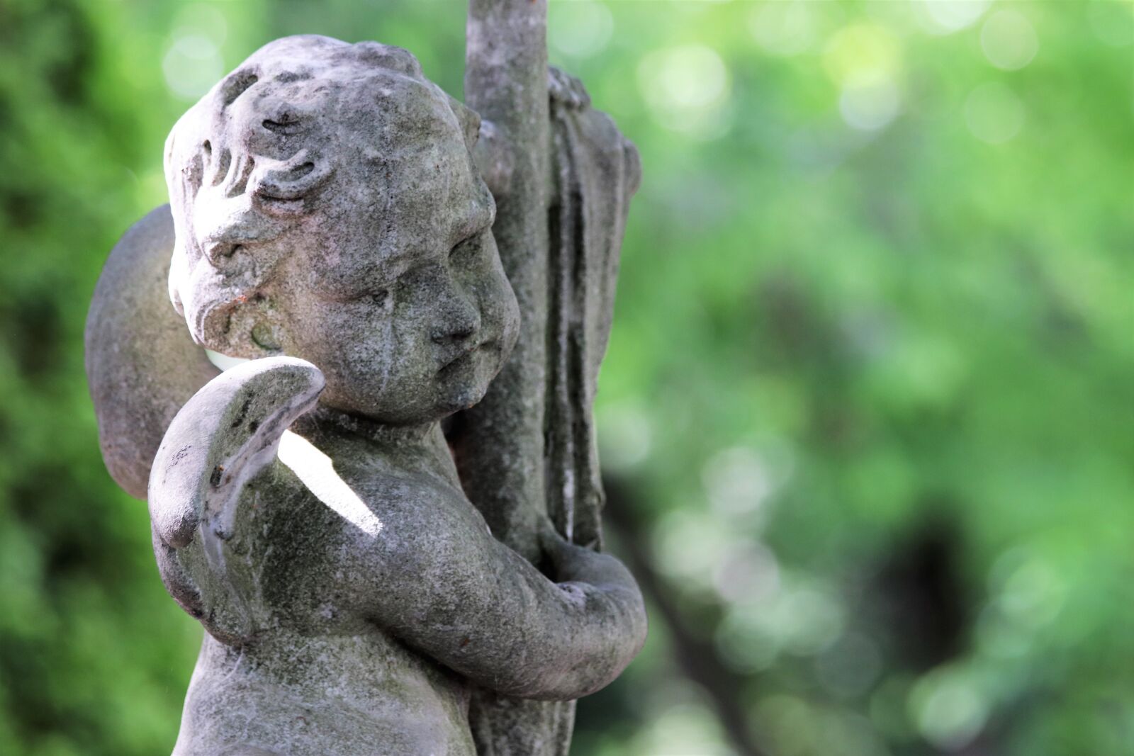 Canon EOS 200D (EOS Rebel SL2 / EOS Kiss X9) + Canon EF 70-300mm F4-5.6 IS USM sample photo. Stone angel, statue, monument photography