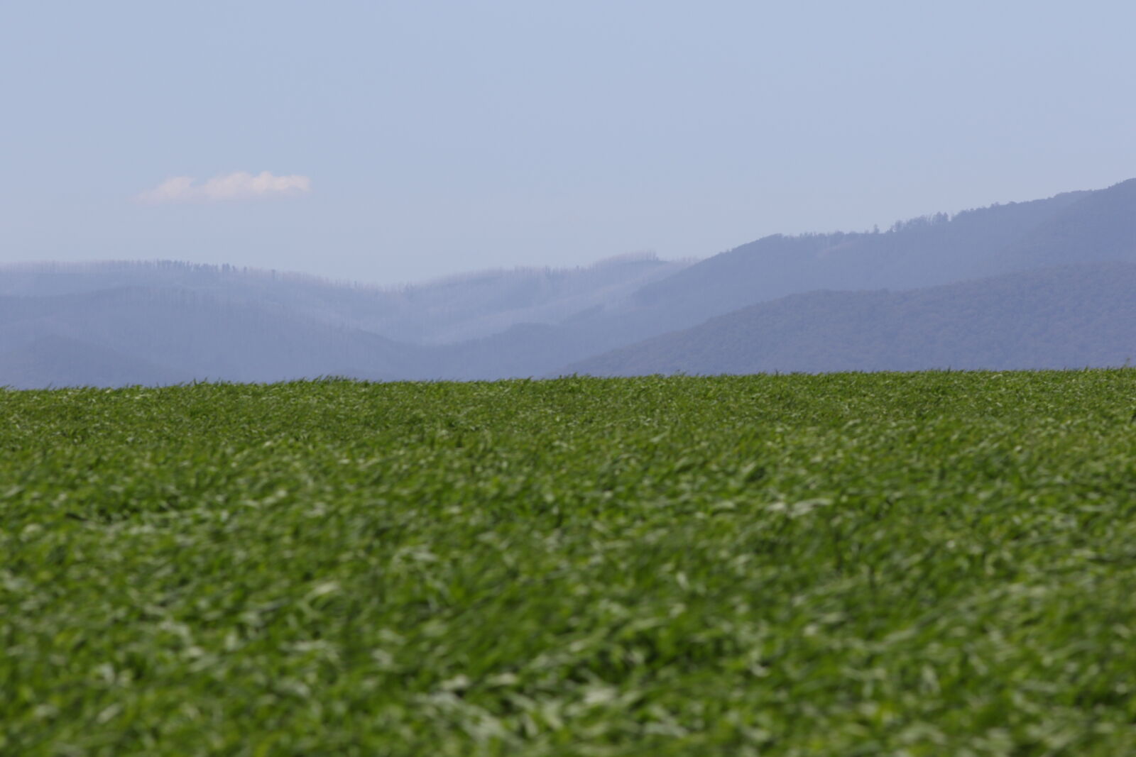 Canon EF 200mm F2.8L II USM sample photo. Crops, fields, mountains photography