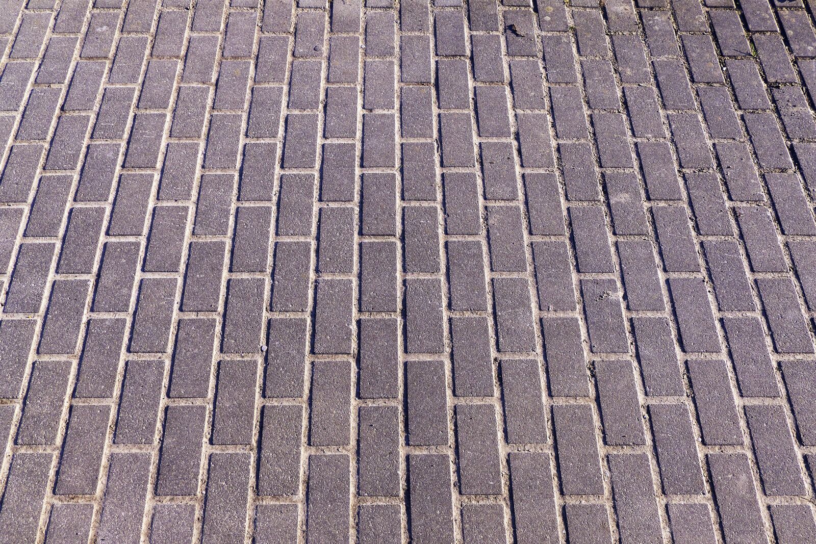 Panasonic Lumix DMC-FZ1000 sample photo. Patch, flooring, paving stones photography