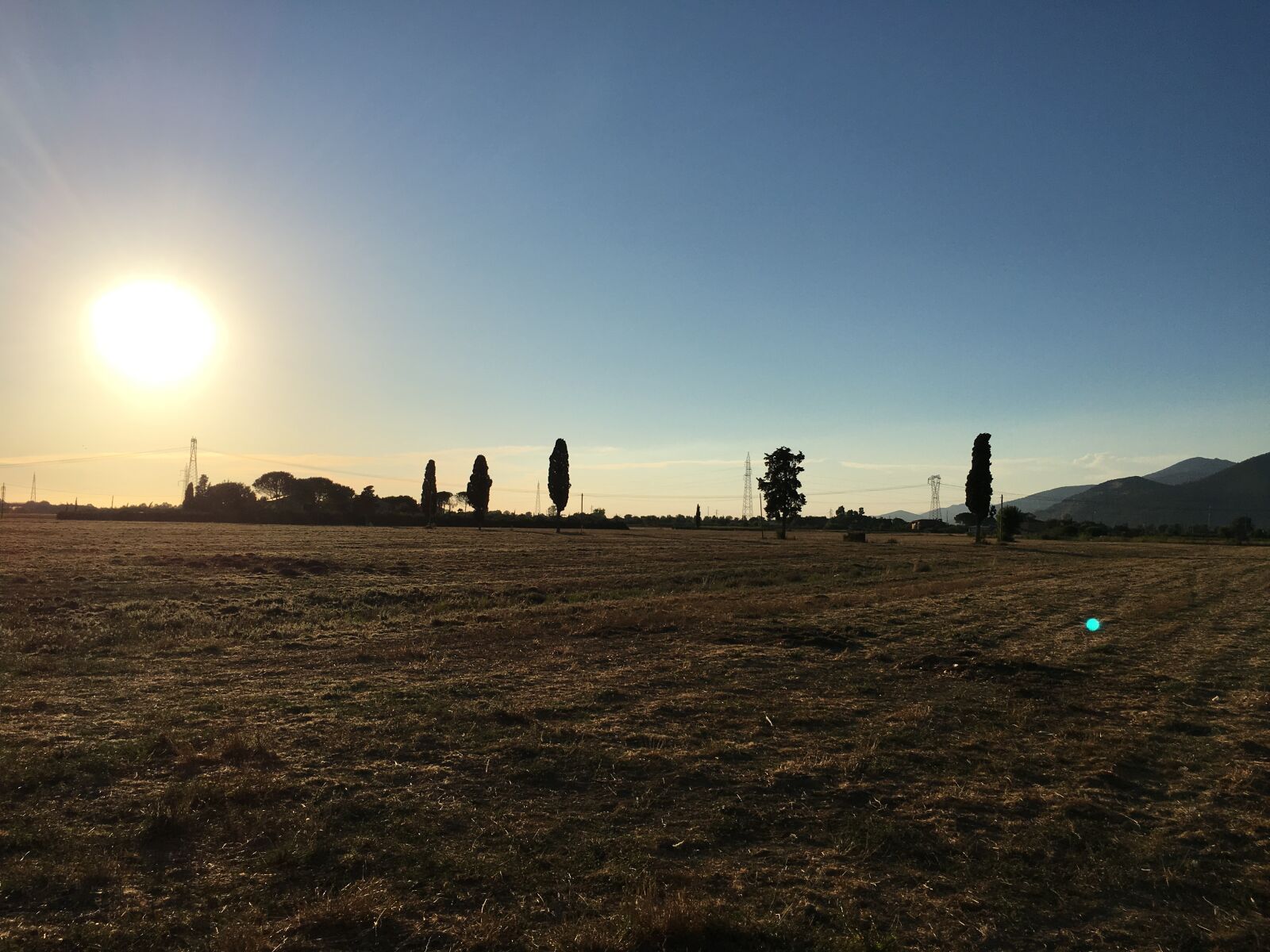 iPhone 6s back camera 4.15mm f/2.2 sample photo
