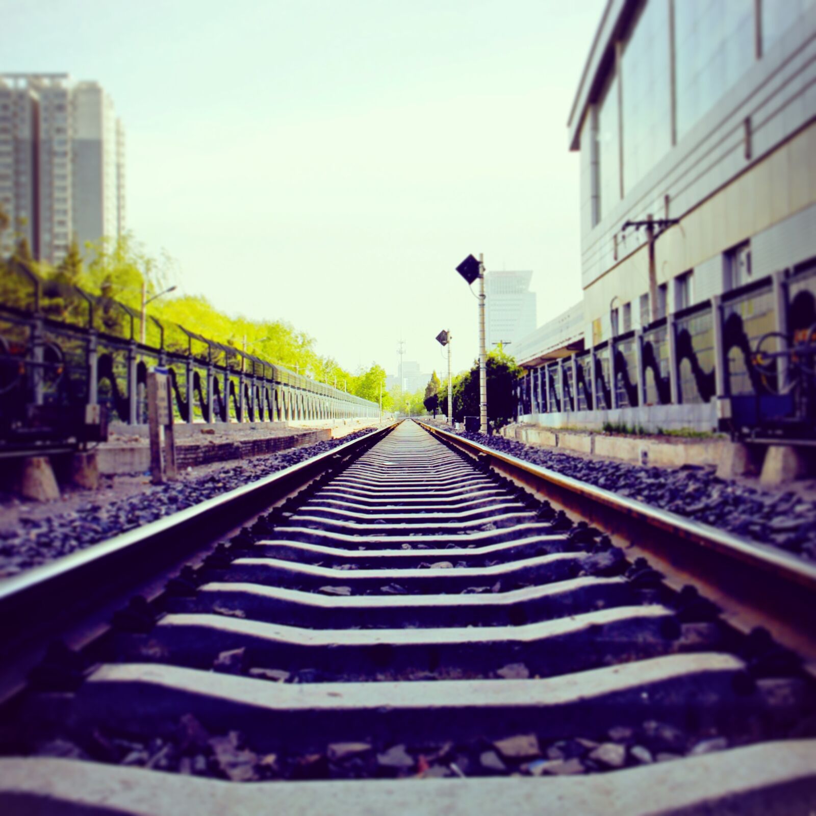 Canon EOS 600D (Rebel EOS T3i / EOS Kiss X5) sample photo. Railway, way, path photography