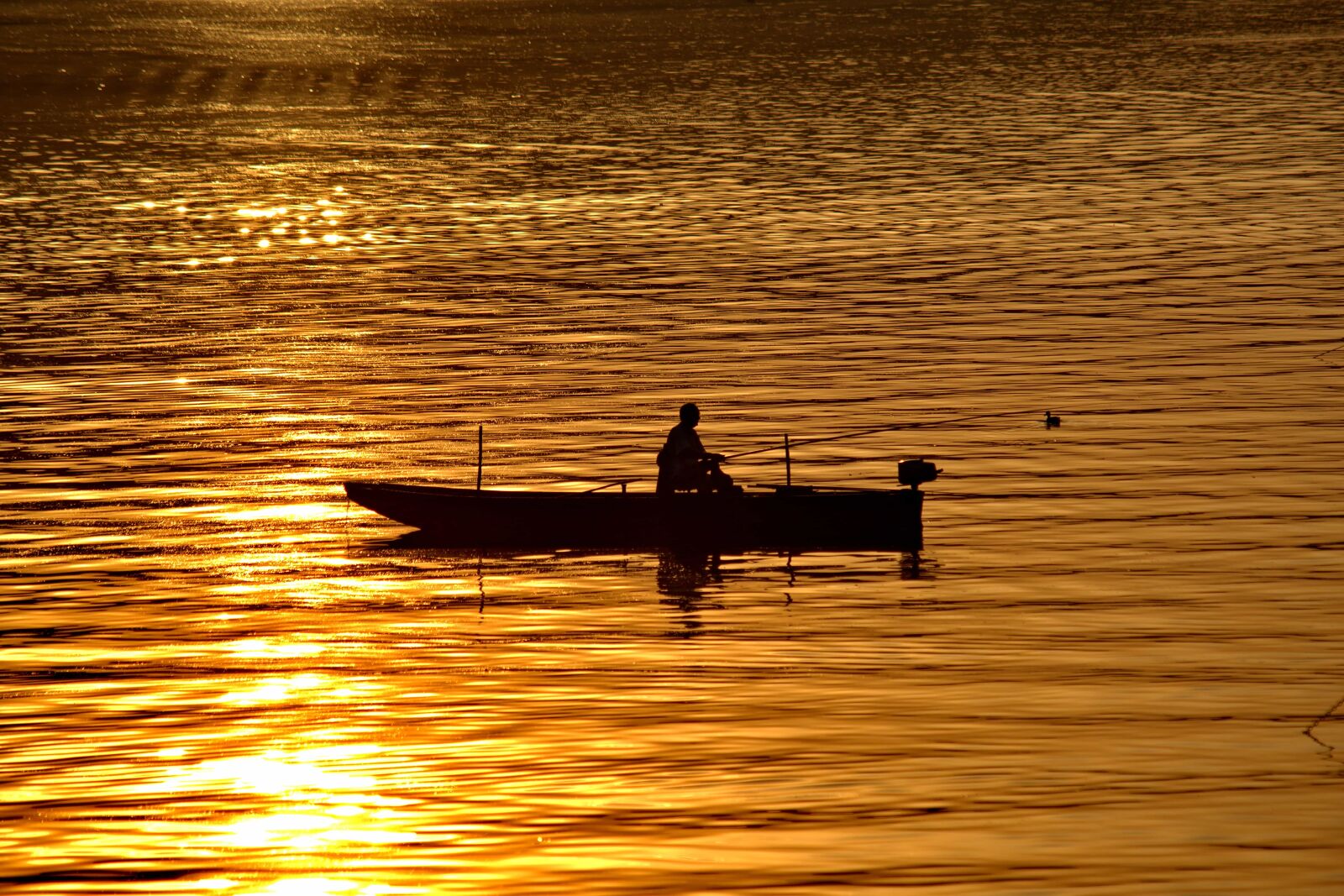 Nikon D5500 sample photo. Boat, fisherman, golden glow photography