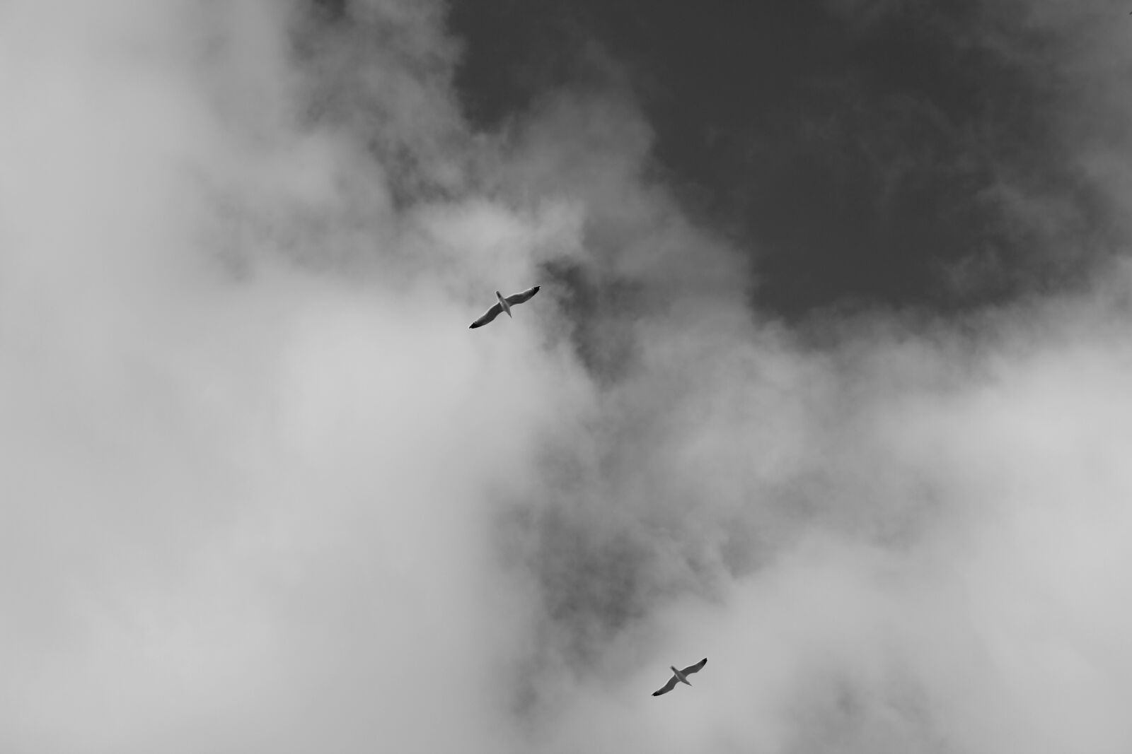 Canon EOS 600D (Rebel EOS T3i / EOS Kiss X5) sample photo. Sky, black and white photography