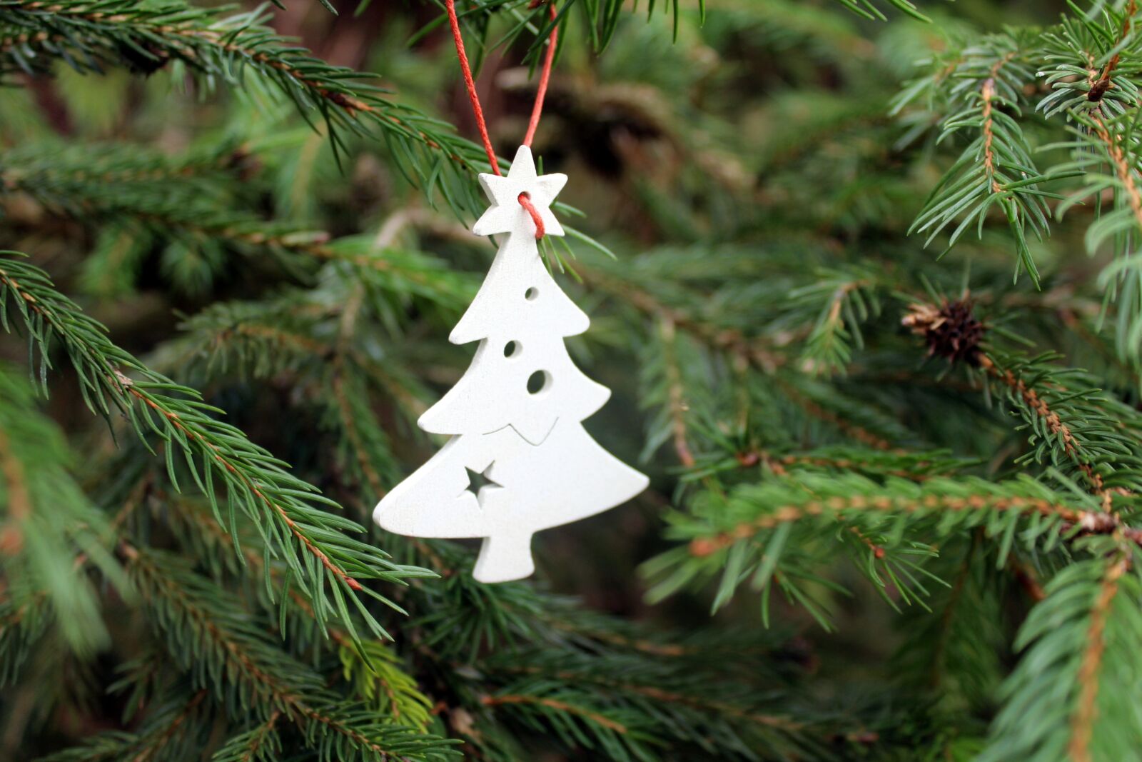 Canon EOS 1200D (EOS Rebel T5 / EOS Kiss X70 / EOS Hi) sample photo. Christmas tree, spruce, christmas photography