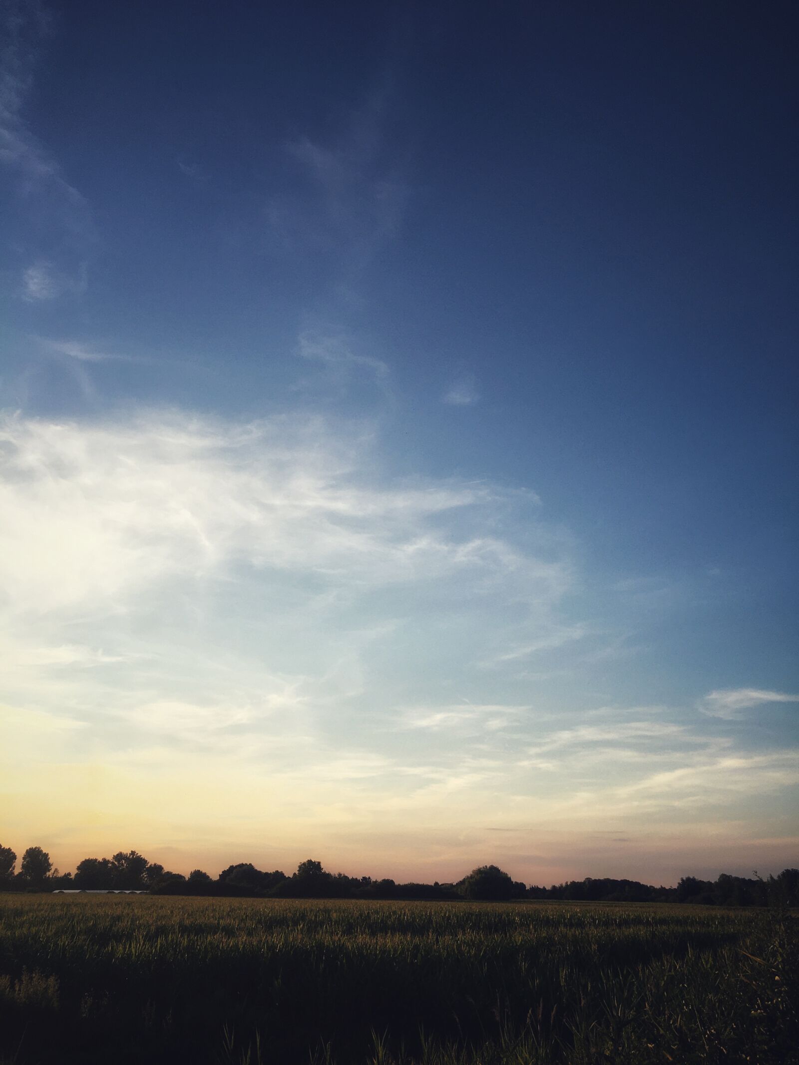 iPhone 6s Plus back camera 4.15mm f/2.2 sample photo. Sky, blue, clouds photography