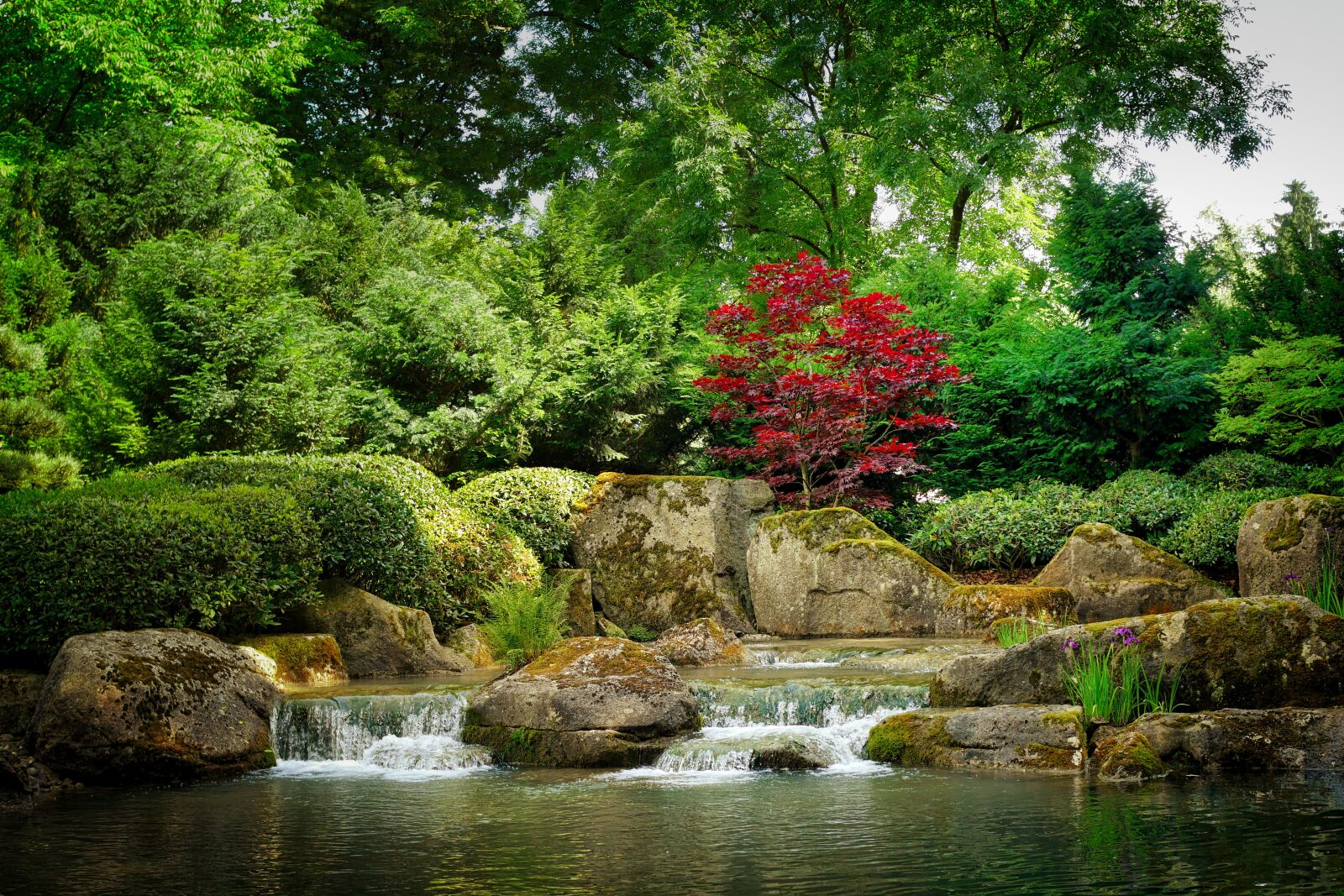 Panasonic Lumix DMC-GX8 sample photo. Nature, waters, tree photography