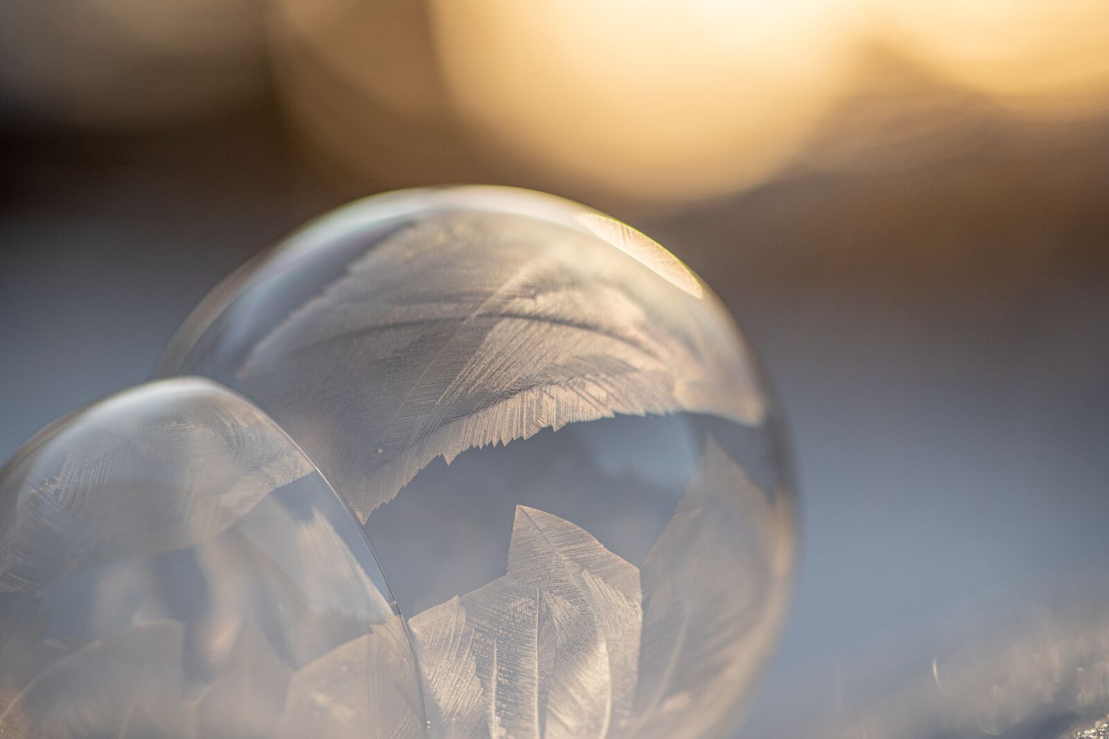 Canon EOS 6D Mark II sample photo. Frozen, bubbles, ice photography