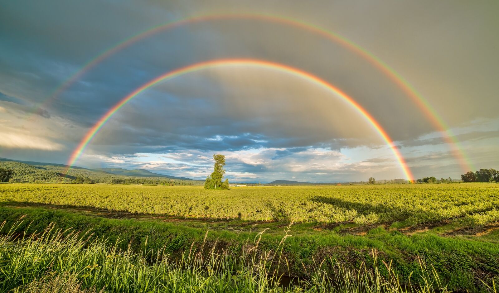 Nikon D600 sample photo. British columbia, canada, farm photography