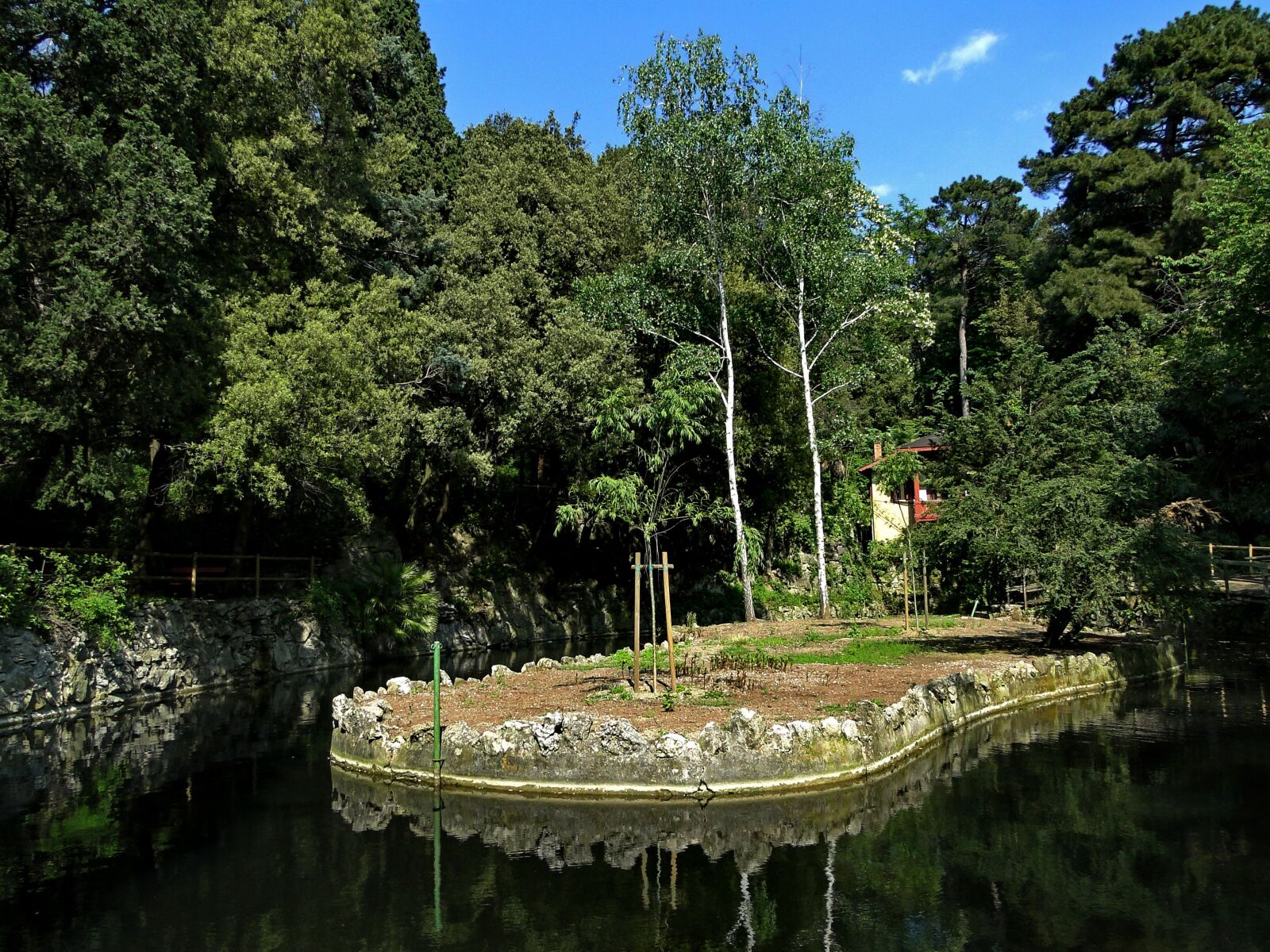 Sony Cyber-shot DSC-HX1 sample photo. Tree, nature, water photography