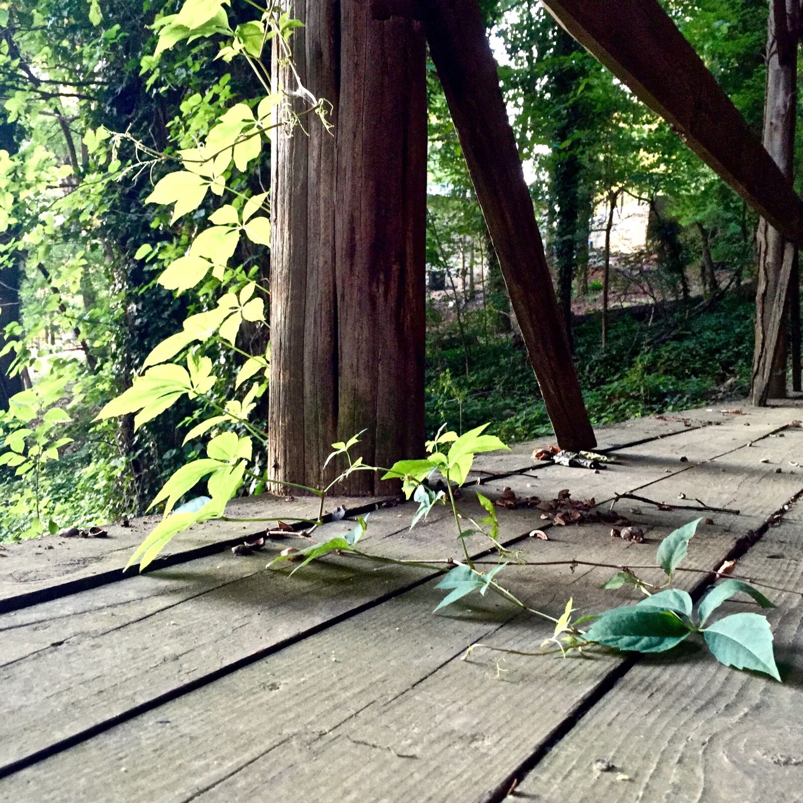 iPhone 6 Plus back camera 4.15mm f/2.2 sample photo. Old building, abandoned, building photography