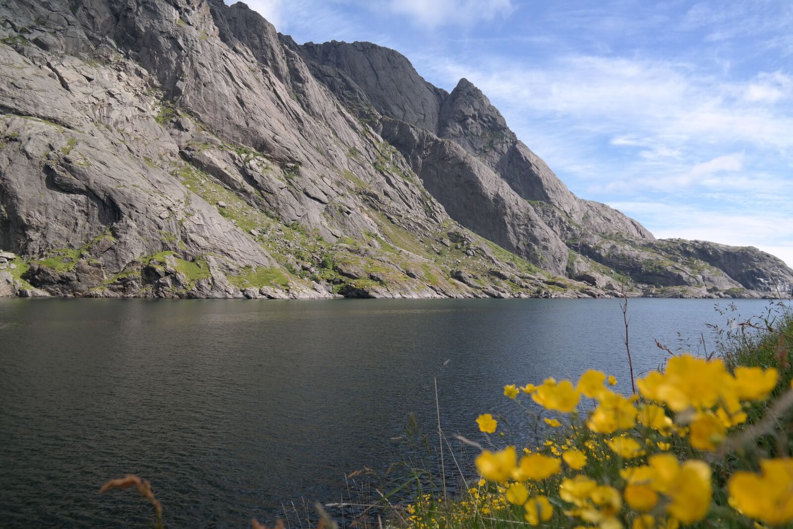 Samsung NX300 sample photo. Mountains, sea, flowers photography