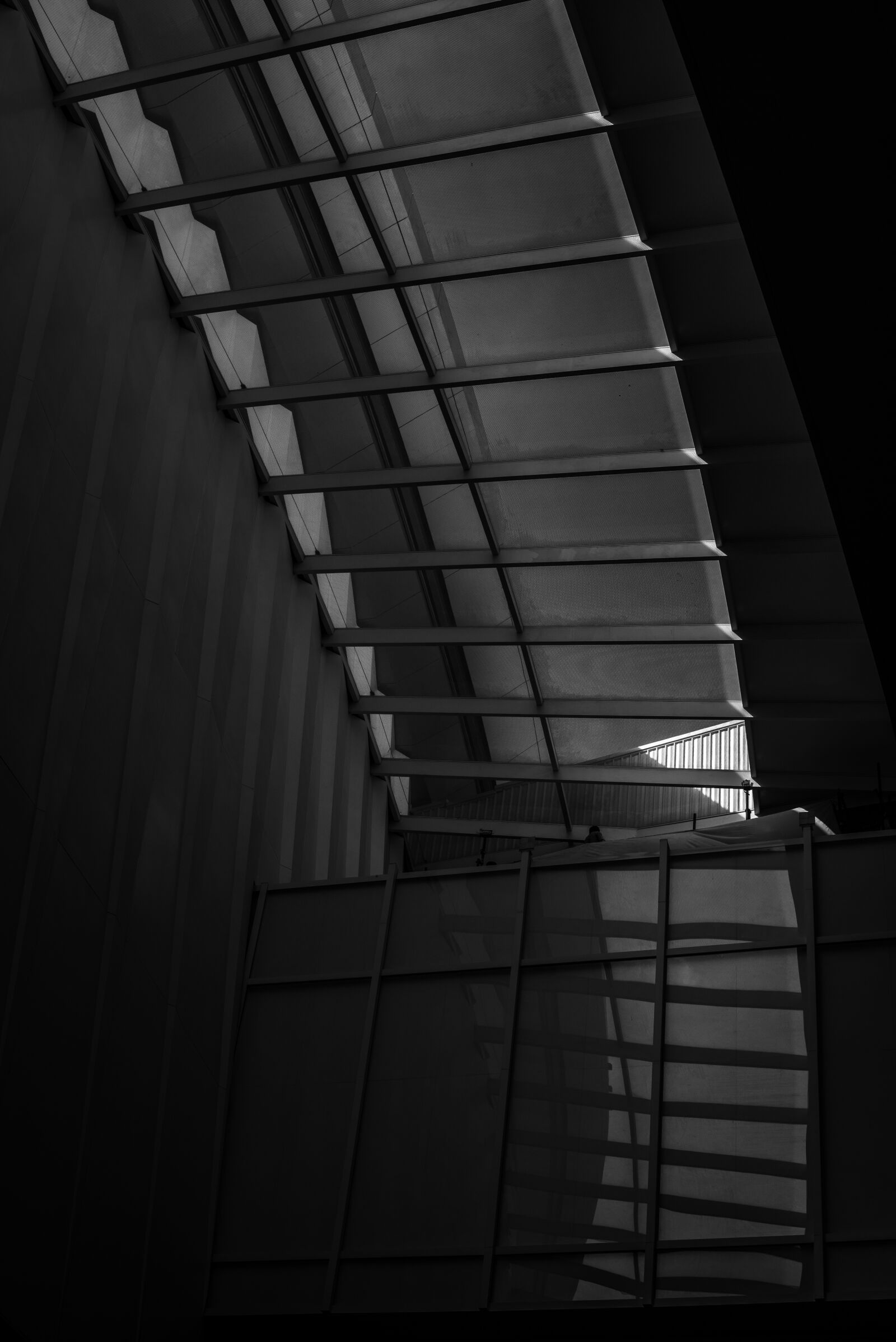 Nikon D750 sample photo. B w 01, photography photography