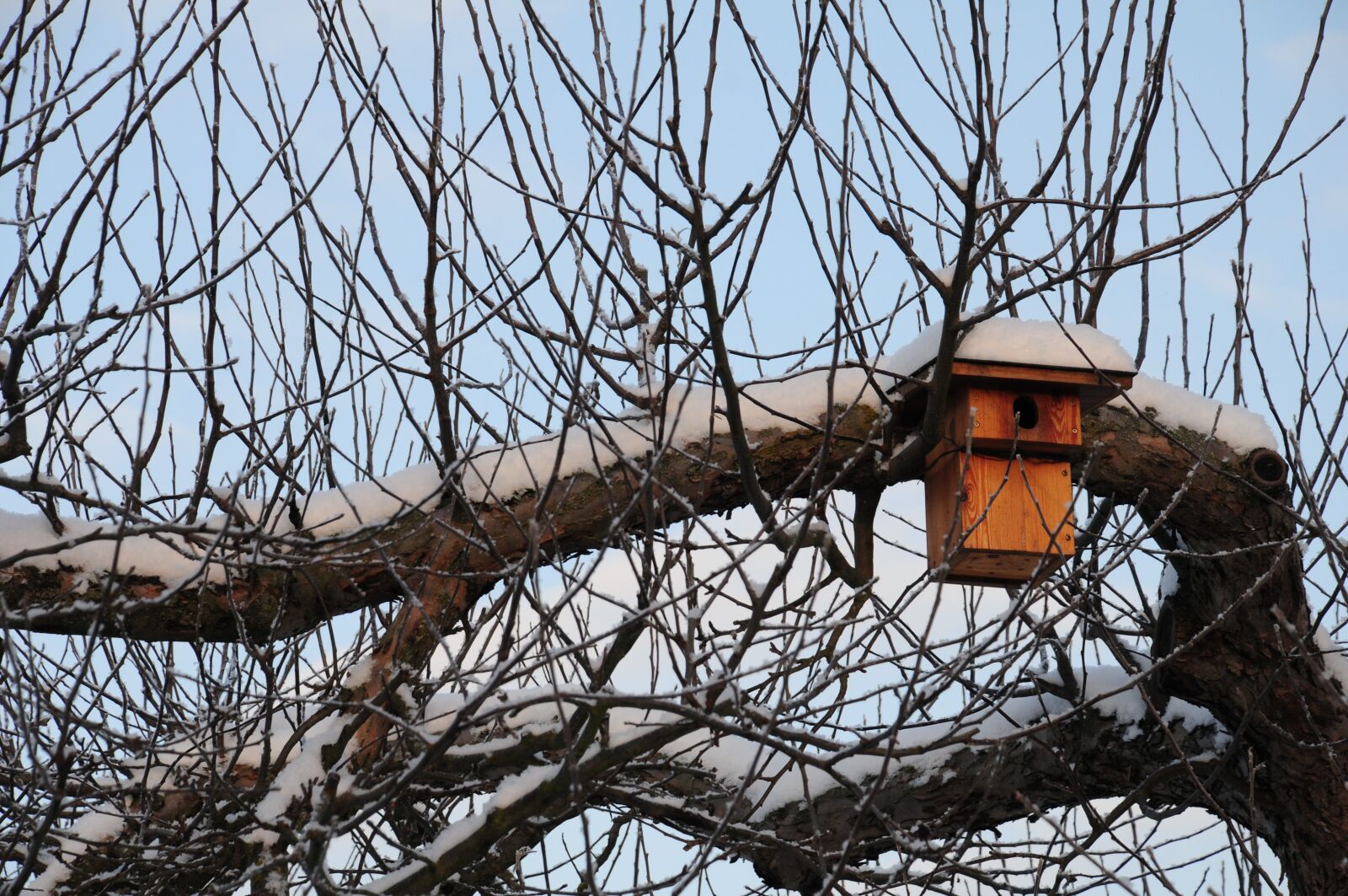 Nikon D300S sample photo. Nesting box, winter, hatchery photography
