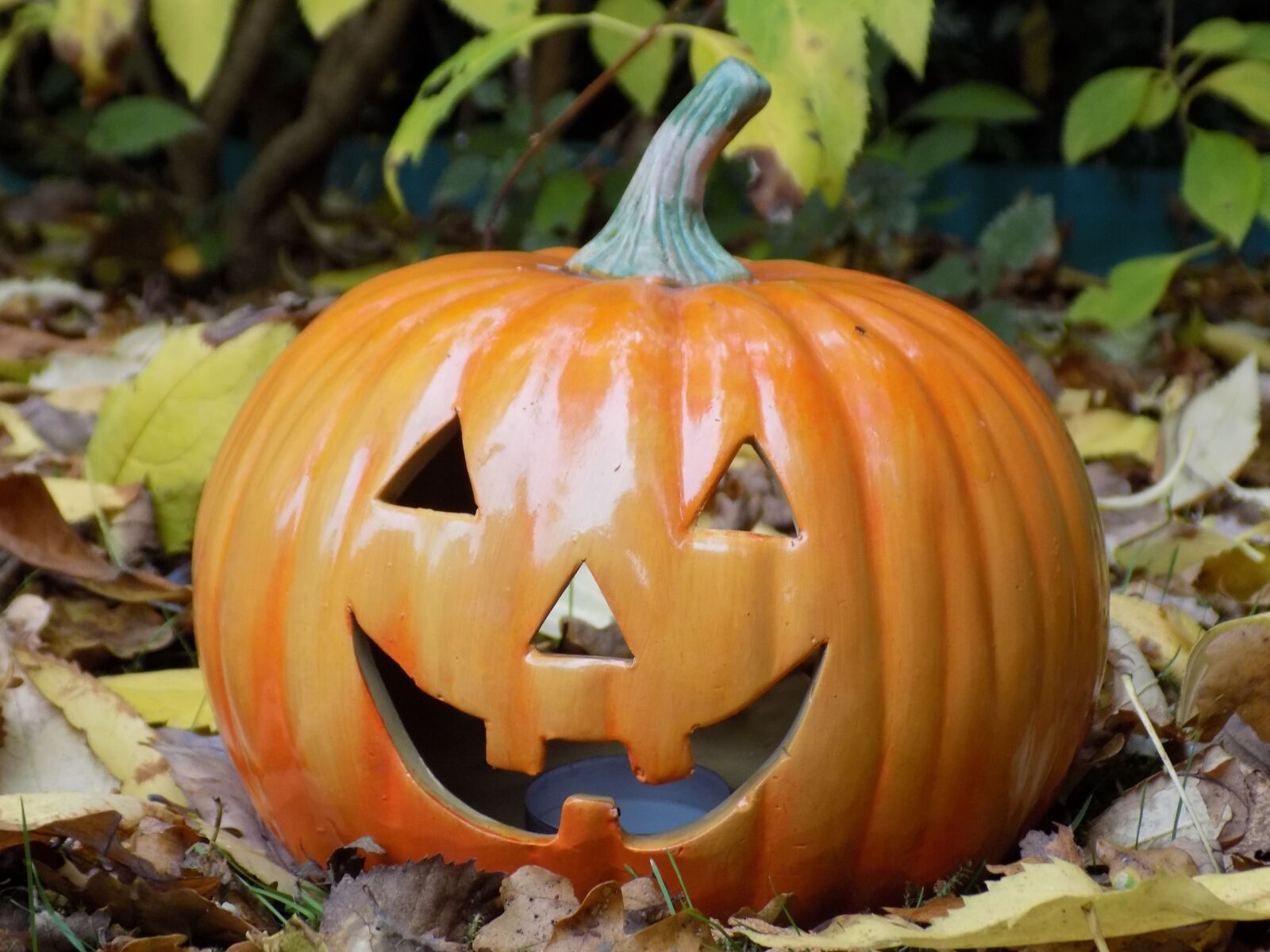 Nikon COOLPIX L340 sample photo. Pumpkin, halloween, decoration photography