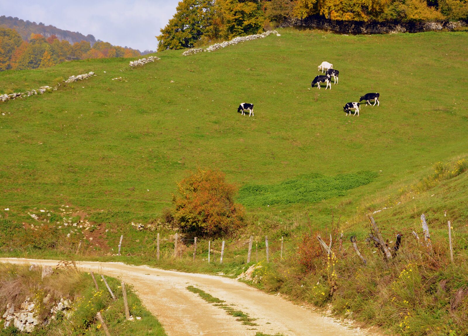 Nikon D7100 sample photo. Road, mountain, excursion photography