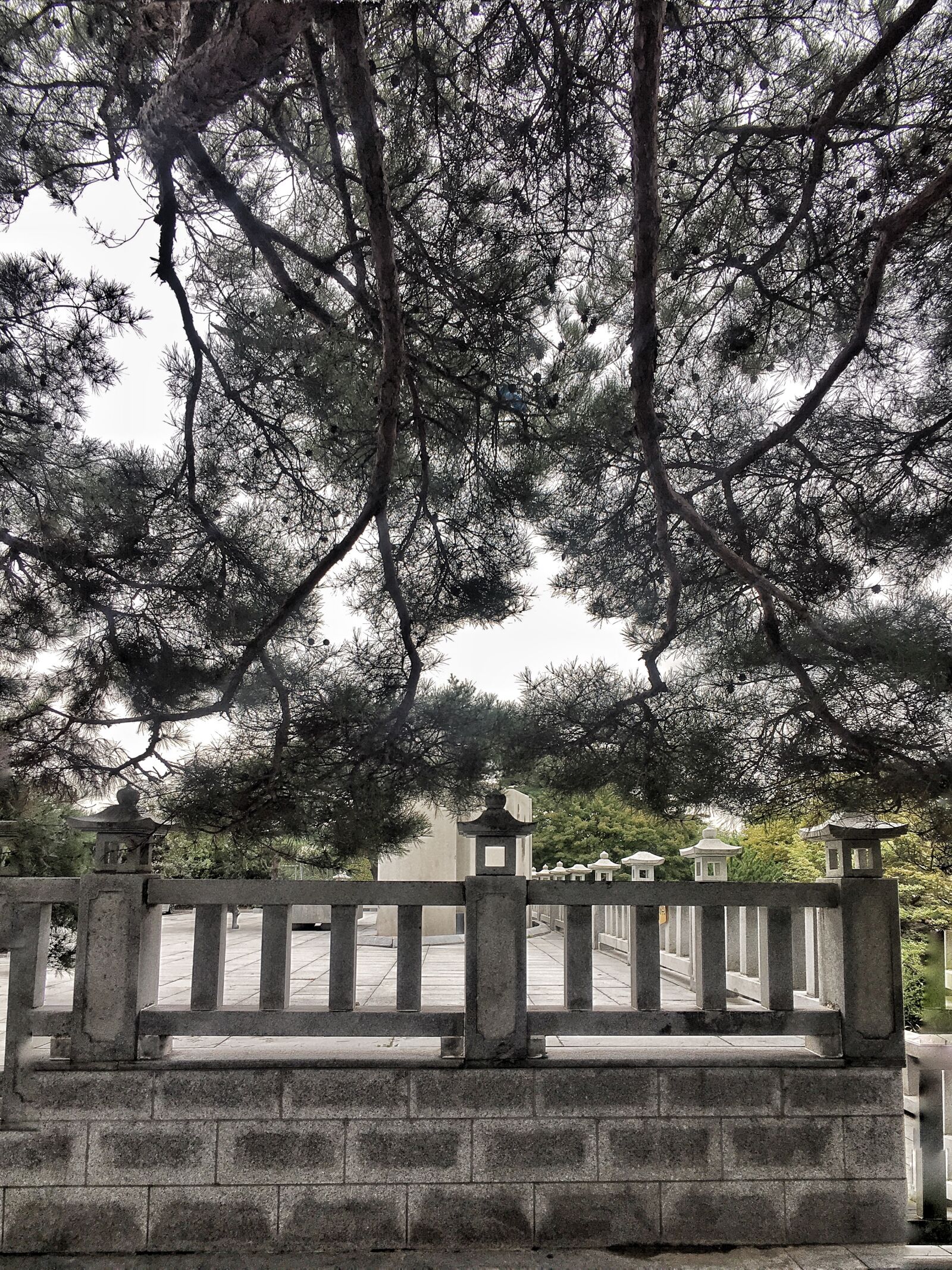 Apple iPhone 6s Plus sample photo. Demarcation line, korea, broken photography