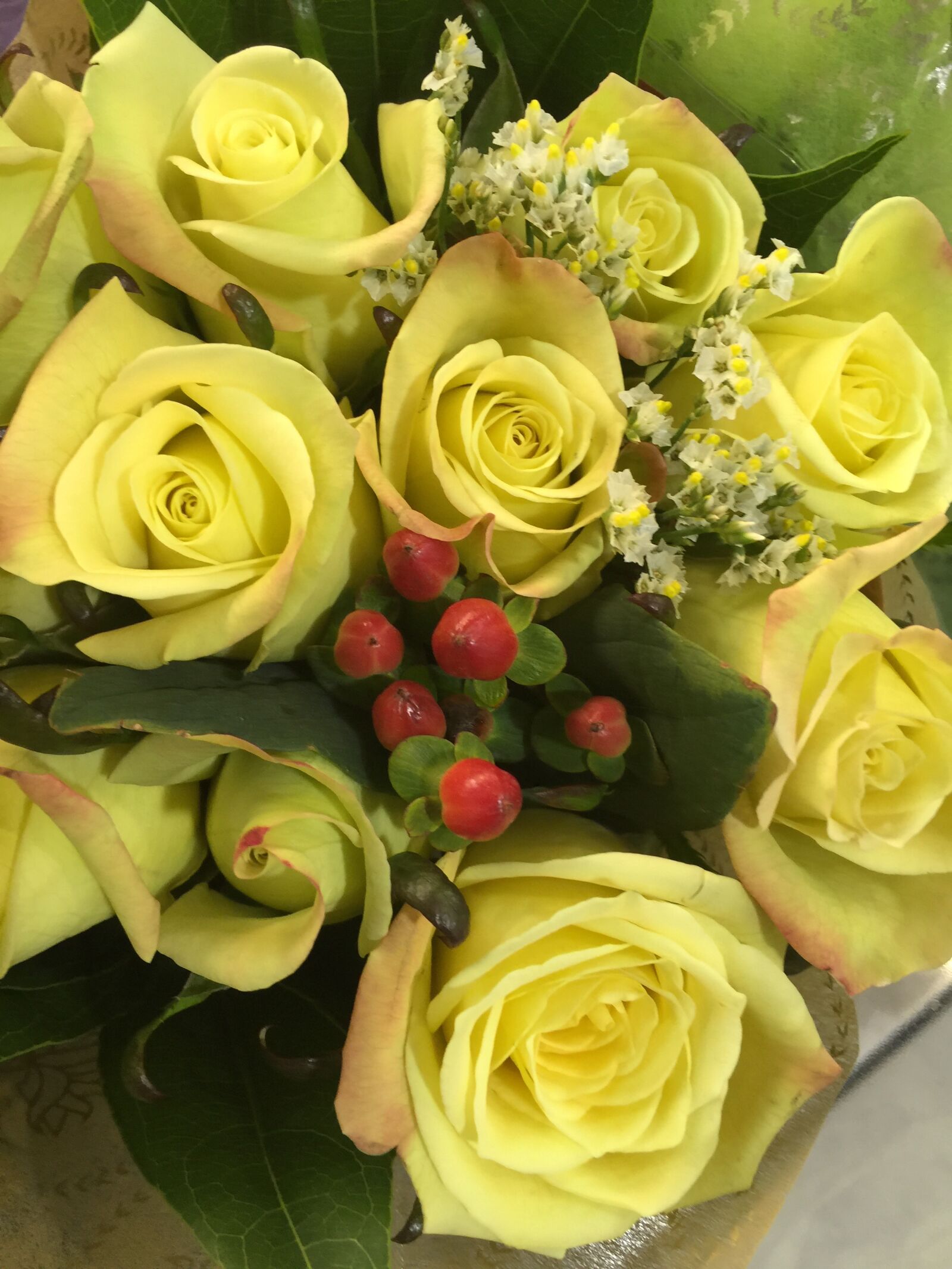 iPhone 6 Plus back camera 4.15mm f/2.2 sample photo. Flowers, roses, yellow, flowers photography